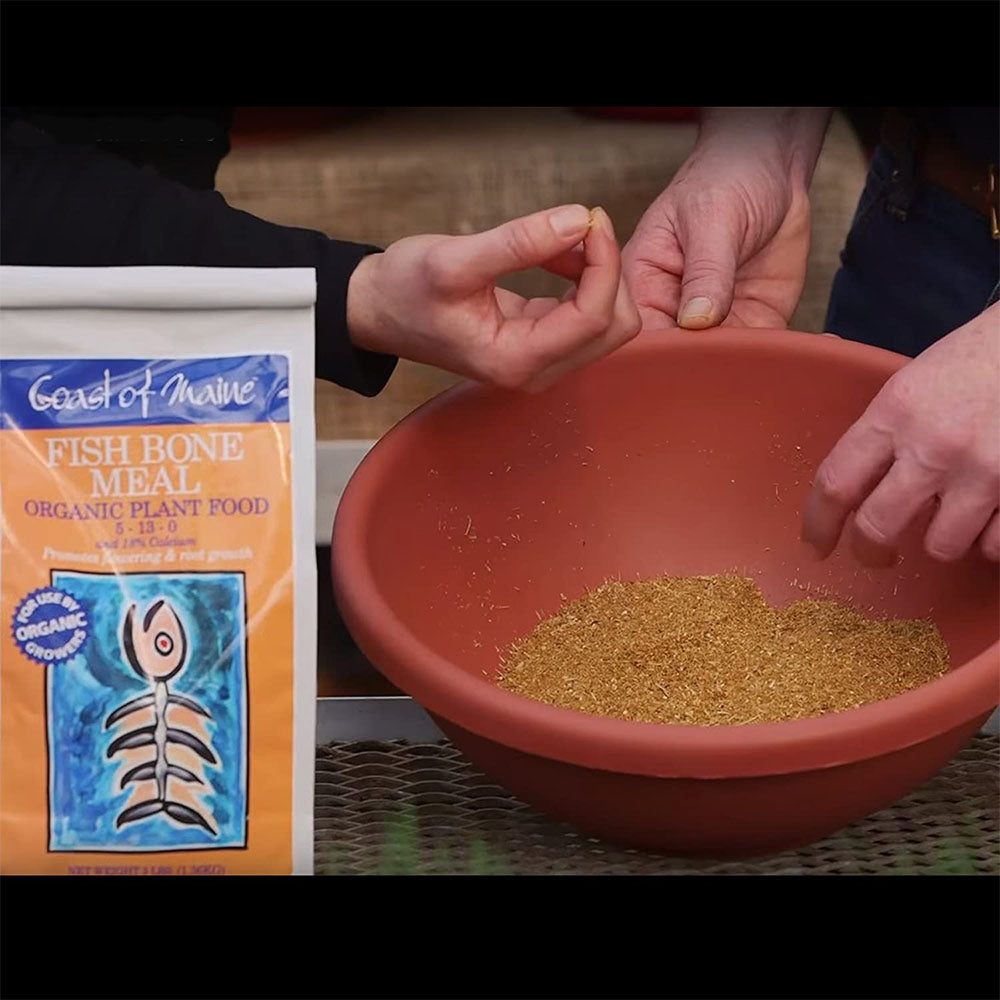 Coast of Maine Fish Bone Meal Pack Organic Potting Soil, 3 Pound Bag (2 Pack)