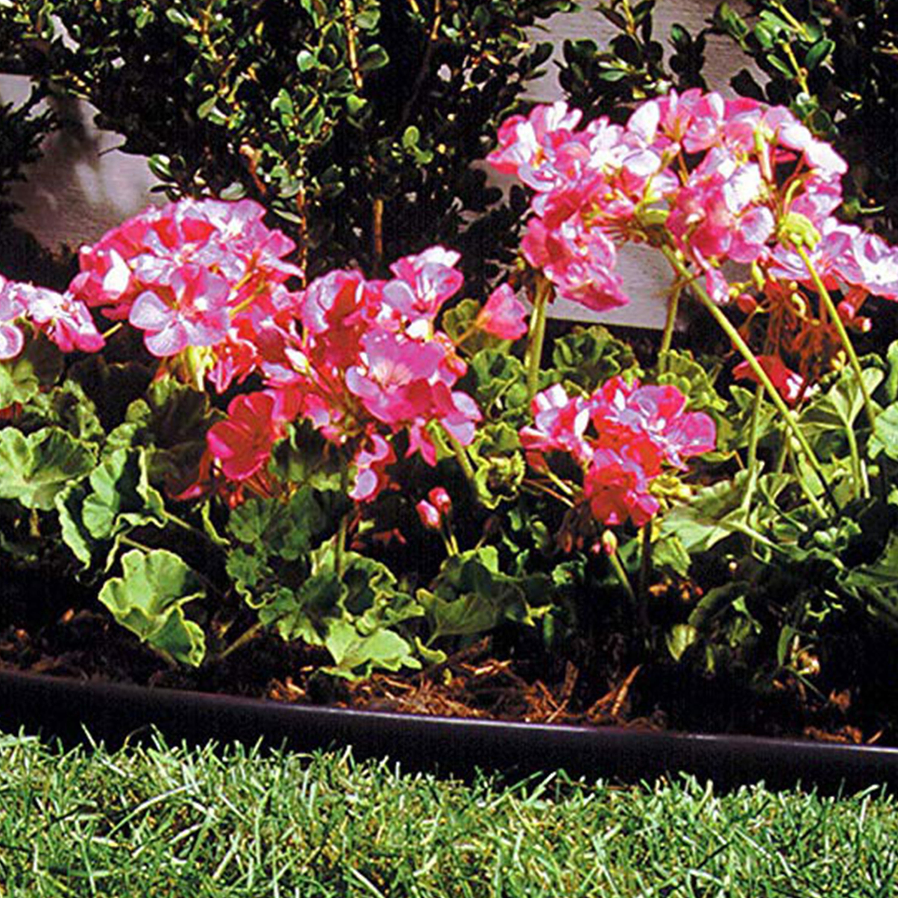 Suncast Professional Grade Dig In 60 Foot Resin Landscape Edging Roll (Open Box)