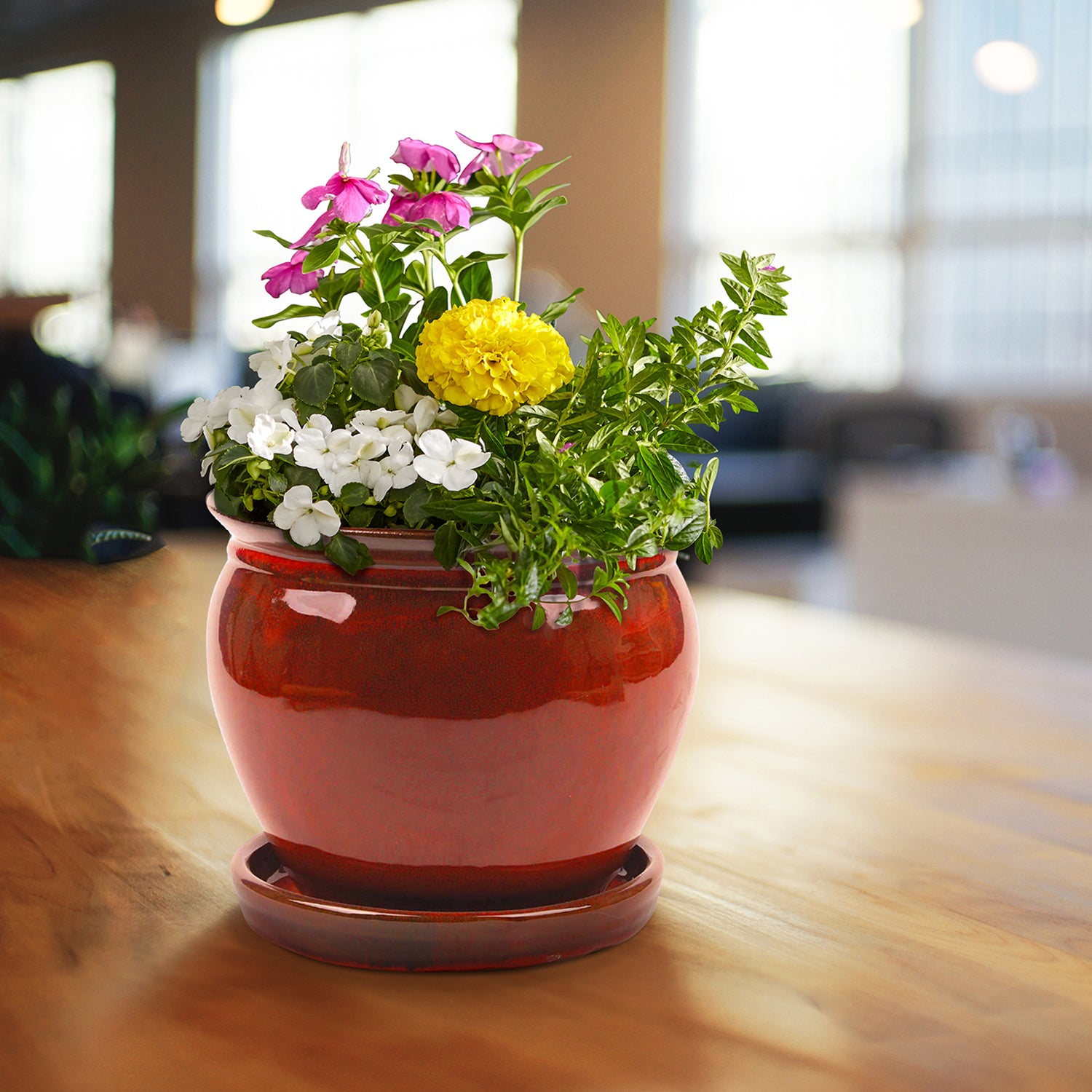 Southern Patio Wisteria 8 Inch Diameter Ceramic Pot w/ Saucer, Red (Open Box) - VMInnovations