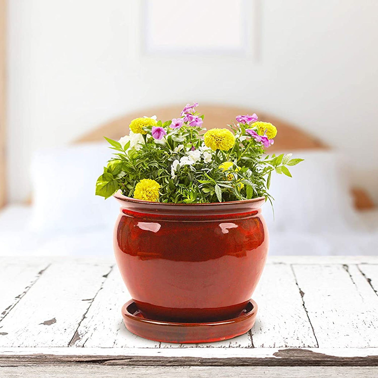 Southern Patio Wisteria 12 Inch Diameter Ceramic Planter Pot with Saucer, Red - VMInnovations