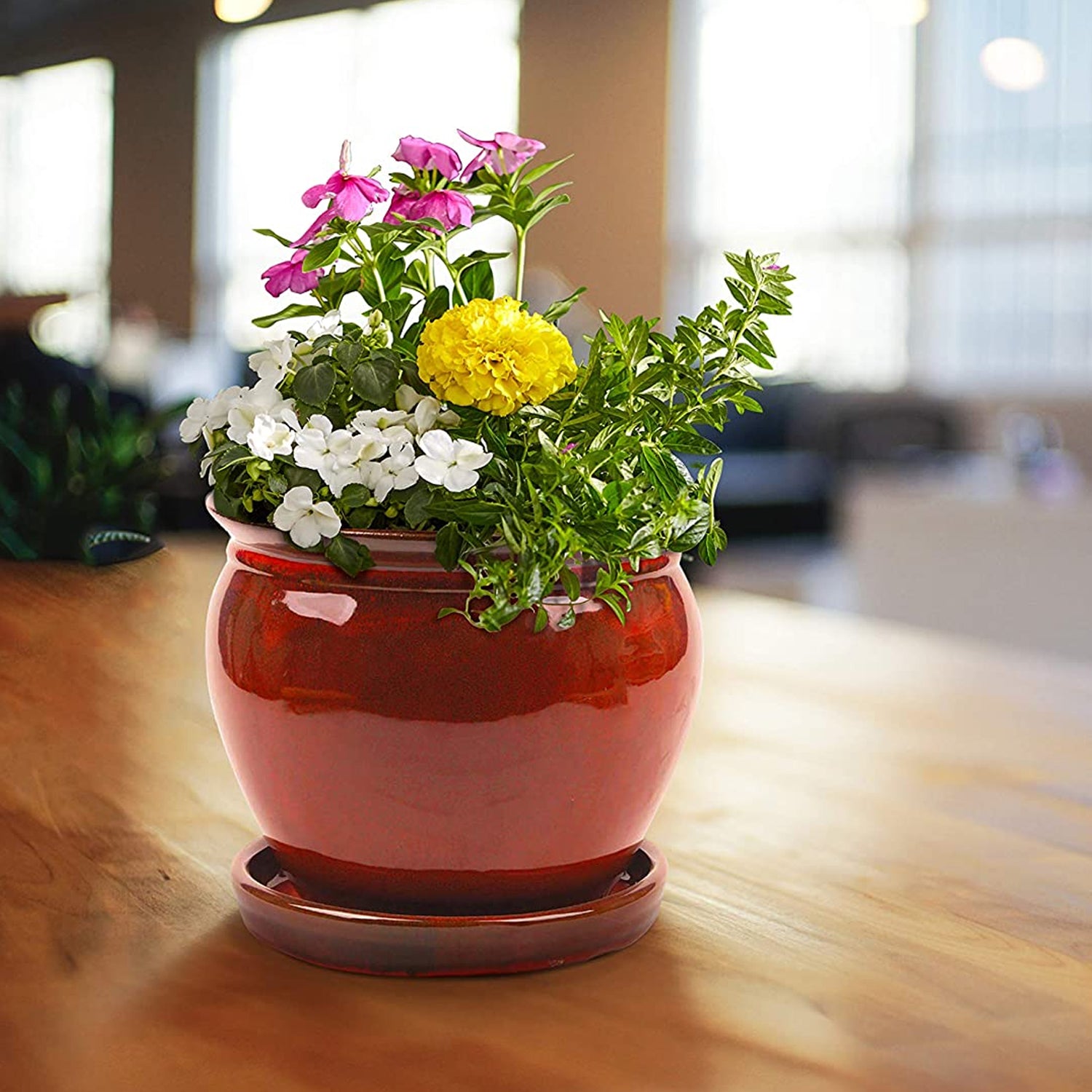 Southern Patio Wisteria 12 Inch Diameter Ceramic Planter Pot with Saucer, Red - VMInnovations