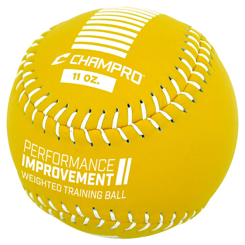 Champro Variety Weighted Softball Coaching Set with 4 Balls and Training Program