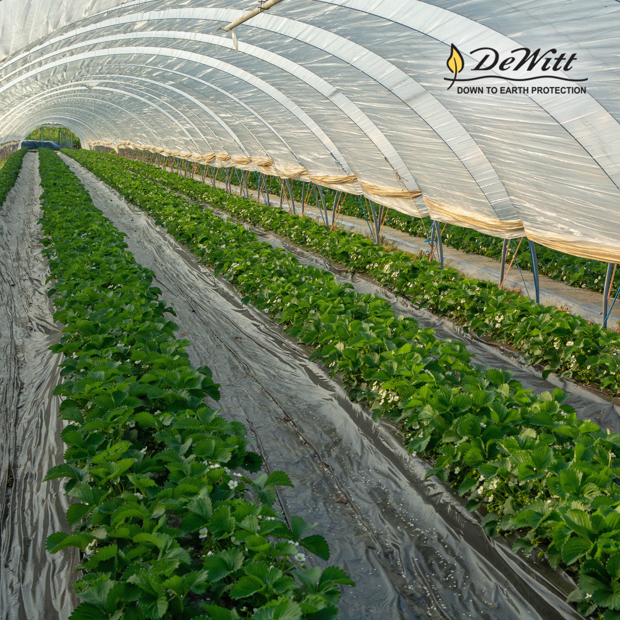 DeWitt Barrier Pro 3oz 4'x100' Weed Barrier Landscape Fabric Ground Cover(Used) - VMInnovations