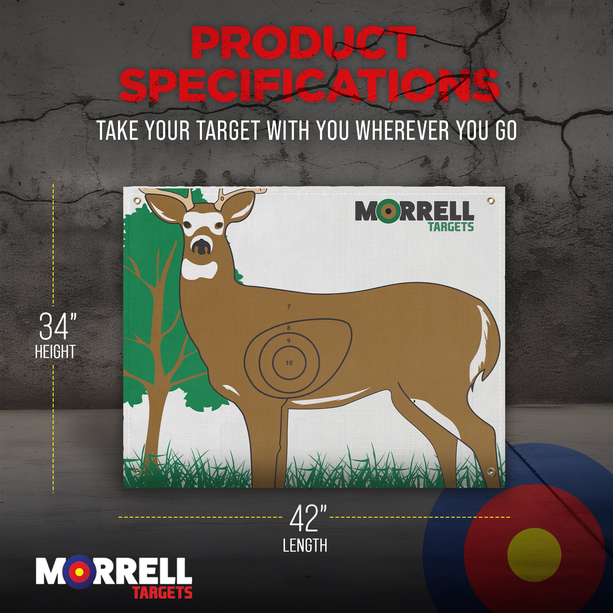 Morrell Targets Whitetail Deer IBO/NASP Archery Shooting Target Face for Hunting - VMInnovations