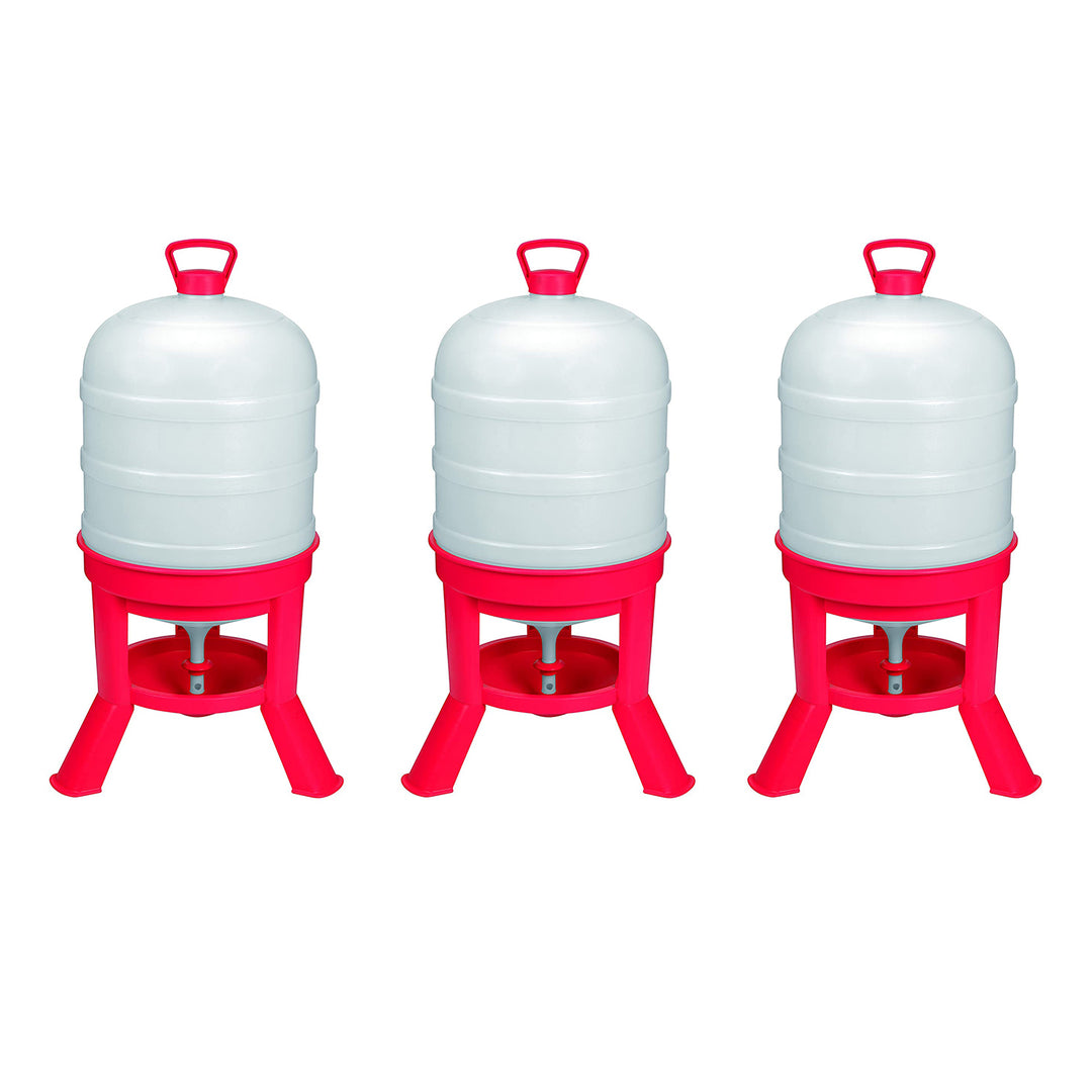 Little Giant DOMEWTR10 10 Gallon Tank Poultry Chicken Gravity Waterer (3 Pack) - VMInnovations
