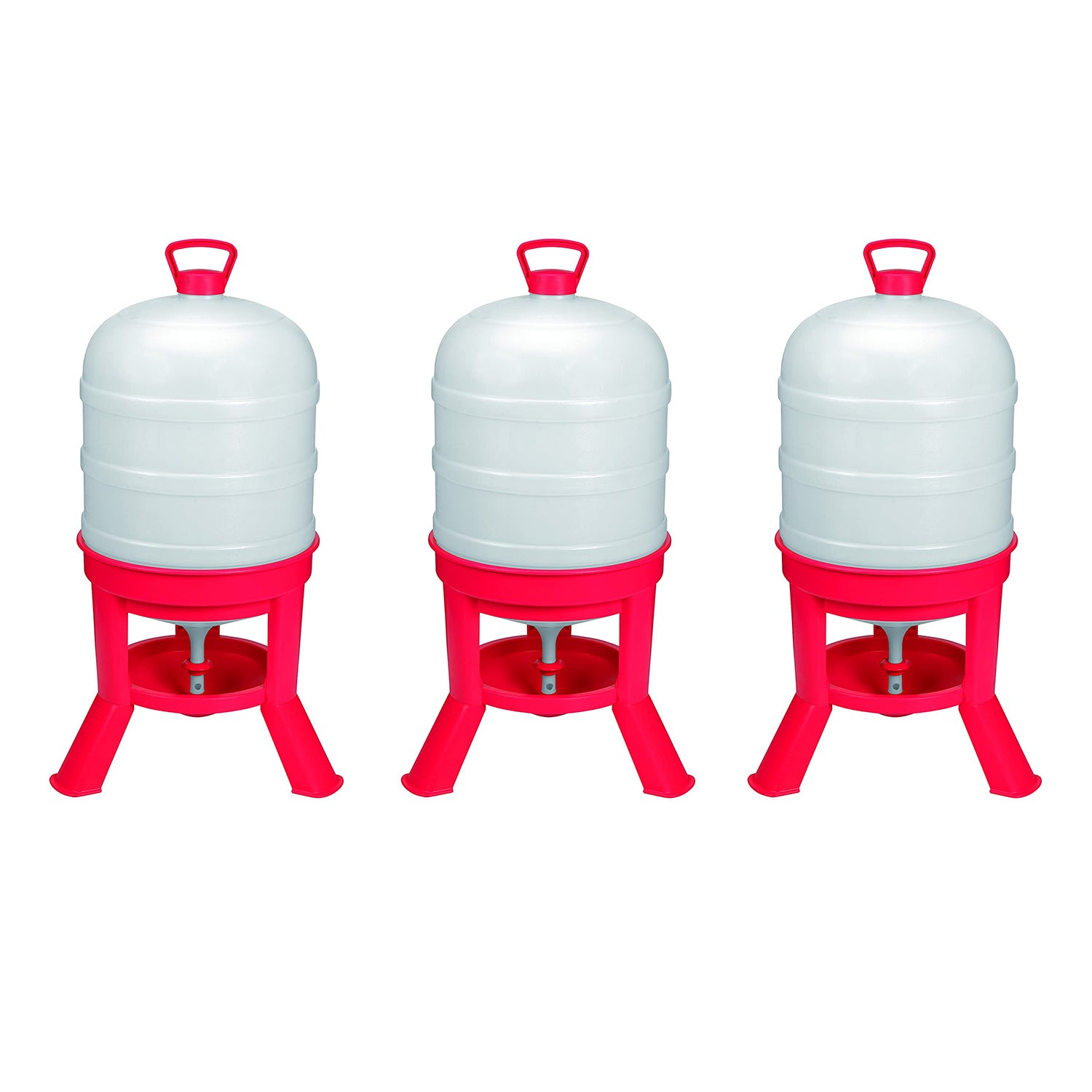 Little Giant DOMEWTR10 10 Gallon Tank Poultry Chicken Gravity Waterer (3 Pack) - VMInnovations