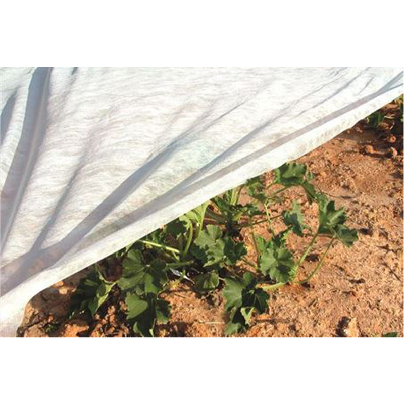 DeWitt Company 12 by 500 Feet of 5 Ounce Plant & Seed Winter Garden Guard Fabric