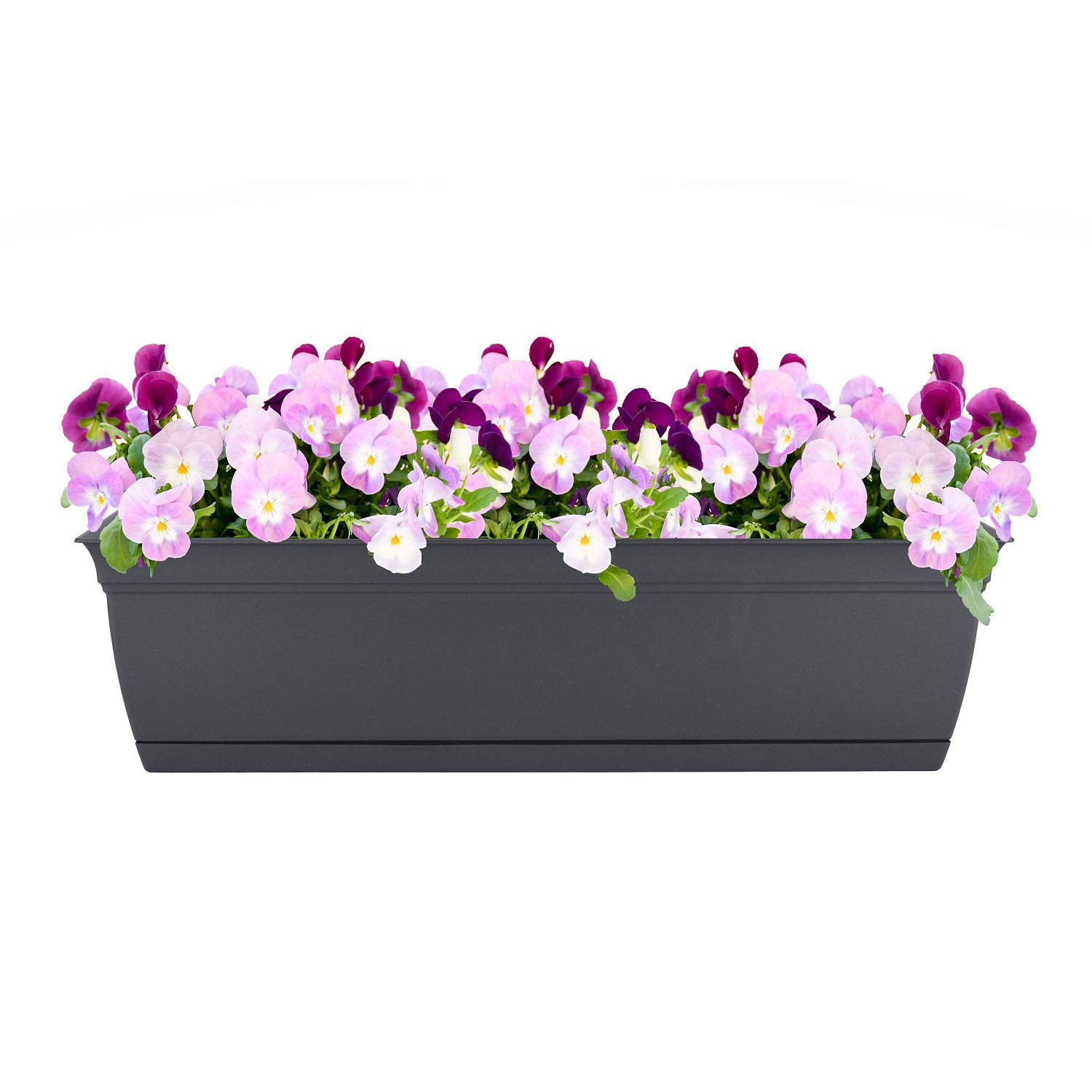 The HC Companies 30 Inch Eclipse Window Flower Box with Removable Saucer, Gray - VMInnovations