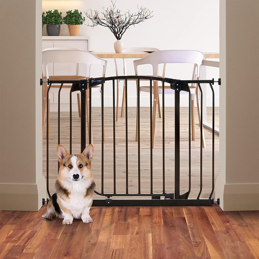 Dreambaby F170B Chelsea 38 to 42.5 Inch Auto-Close Baby Pet Safety Gate, Black - VMInnovations