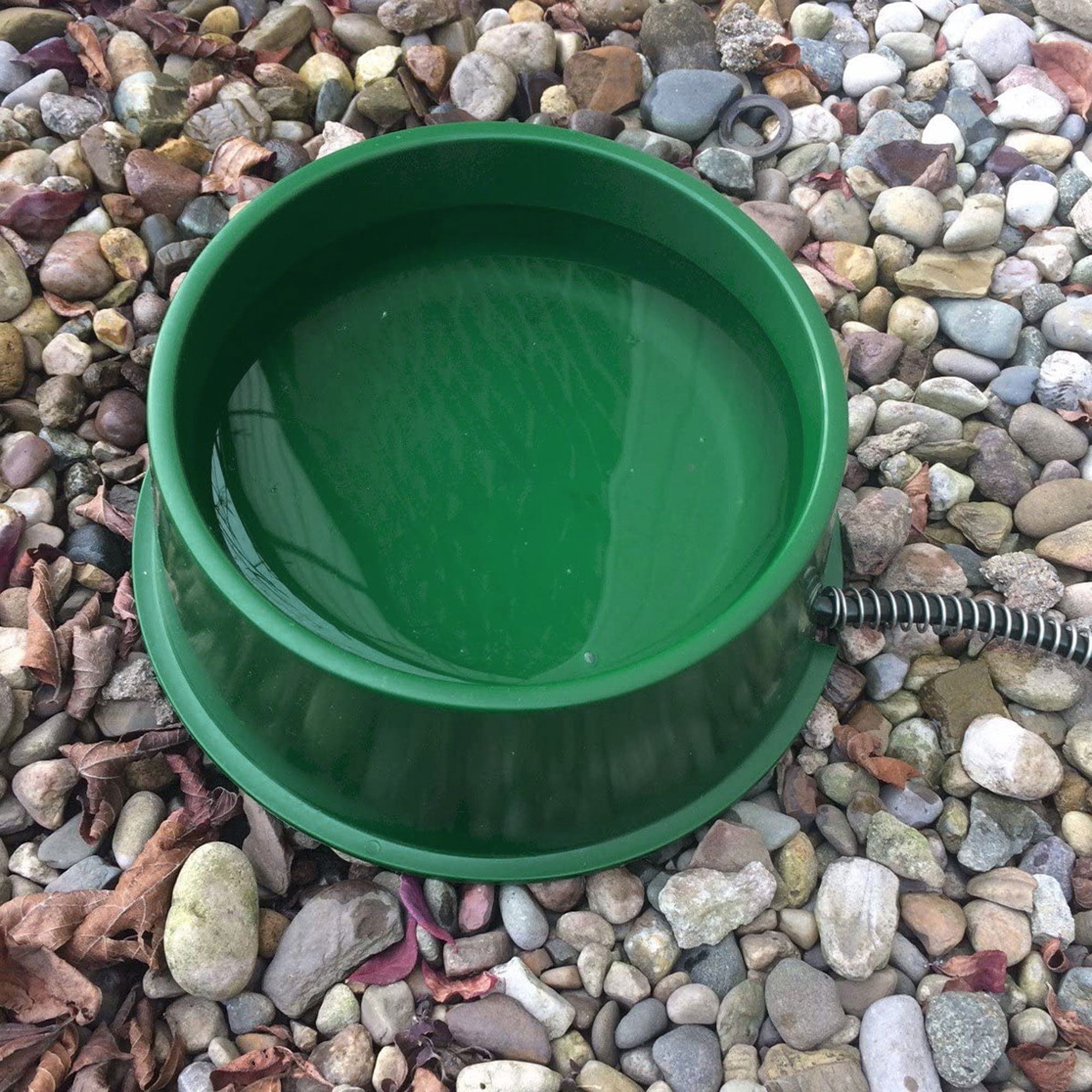 Farm Innovators QT 1 25 Watt 1 Qt Electric Heated Pet Water Bowl, Green (3 Pack) - VMInnovations