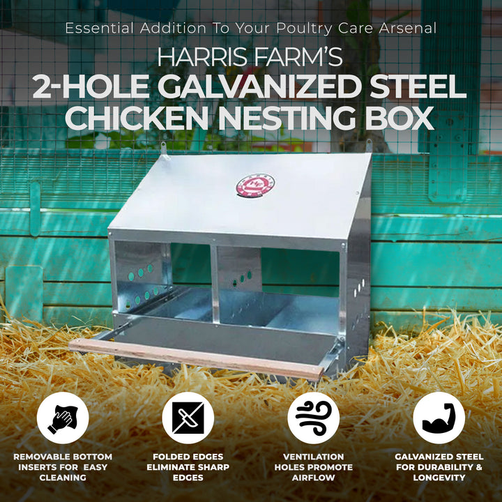 Harris Farms 2 Hole Chicken Nesting Box w/ Front and Back Panels & Folded Edges - VMInnovations