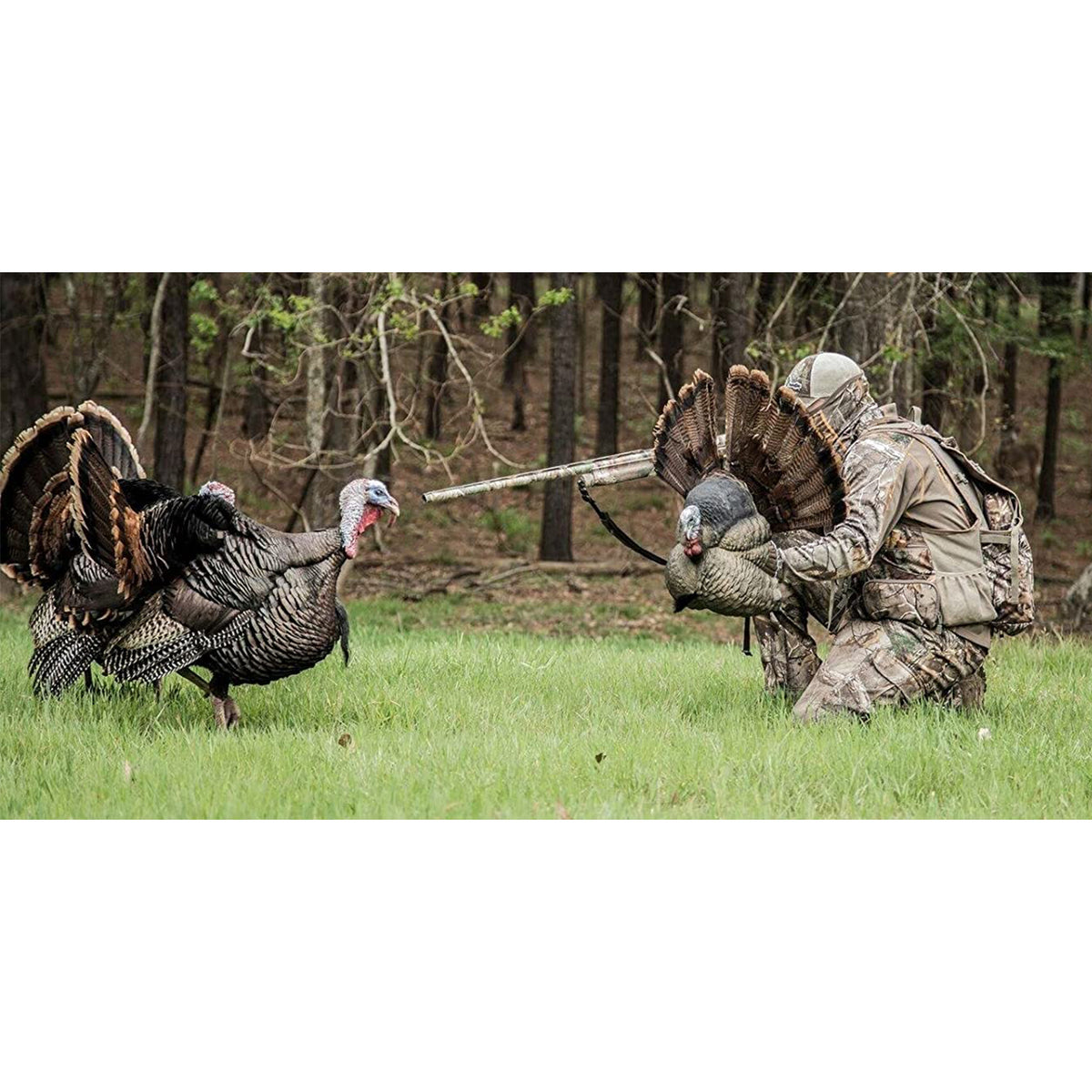 Flextone FLXDY316 Thunder Creeper Scaled Portable Strutting Turkey Hunting Decoy