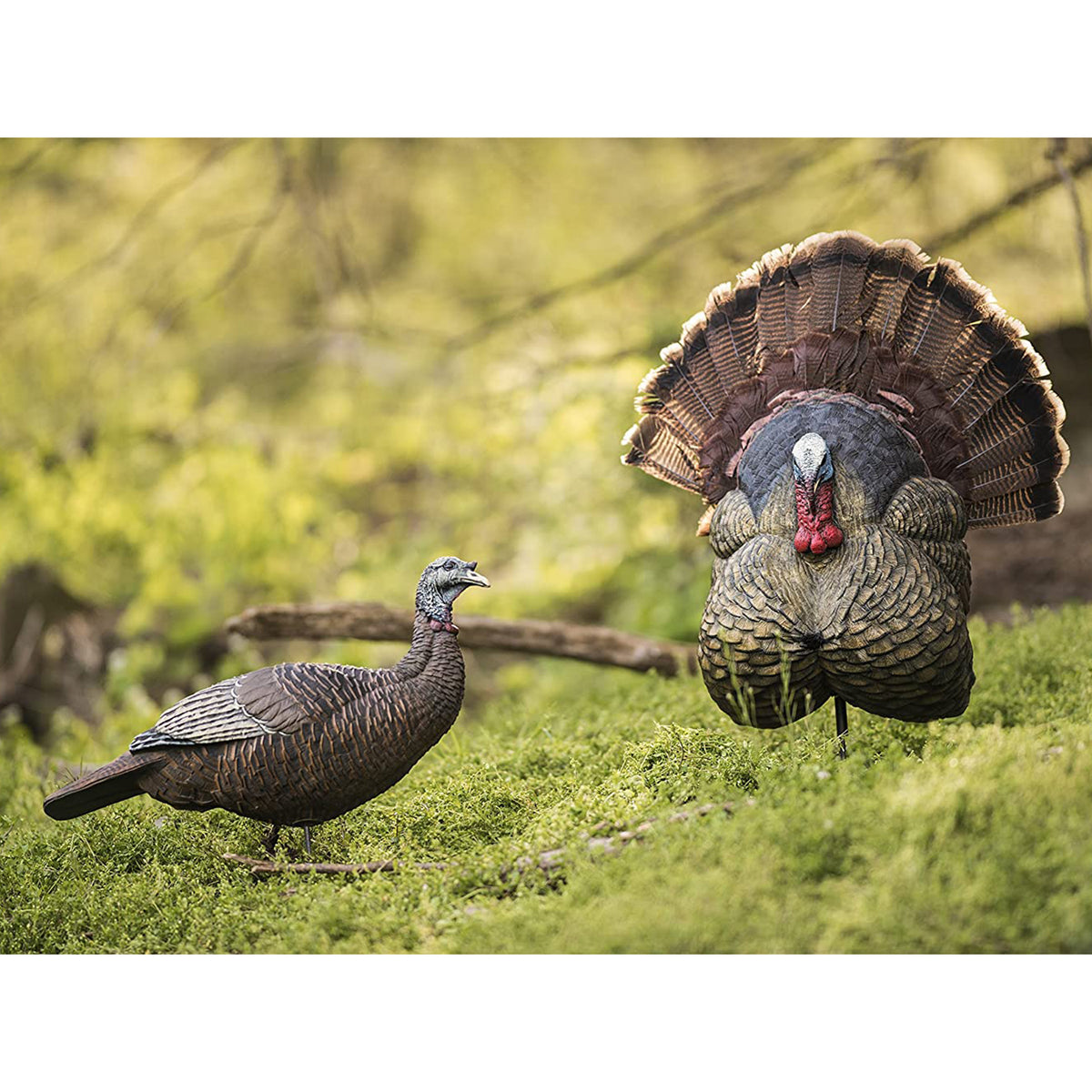 Flextone FLXDY316 Thunder Creeper Scaled Portable Strutting Turkey Hunting Decoy