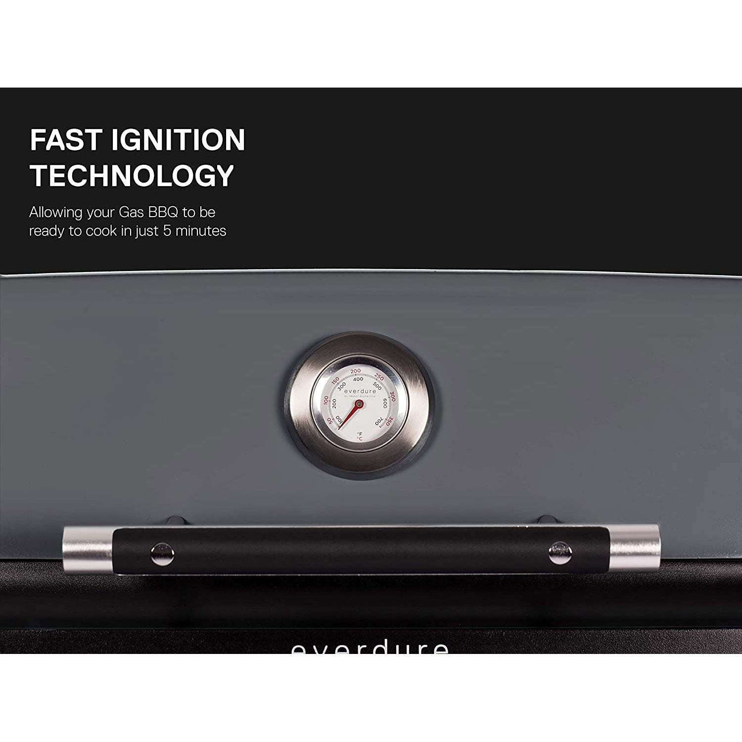 Everdure Force by Heston Blumenthal 2 Burner Freestanding Propane Grill,Graphite