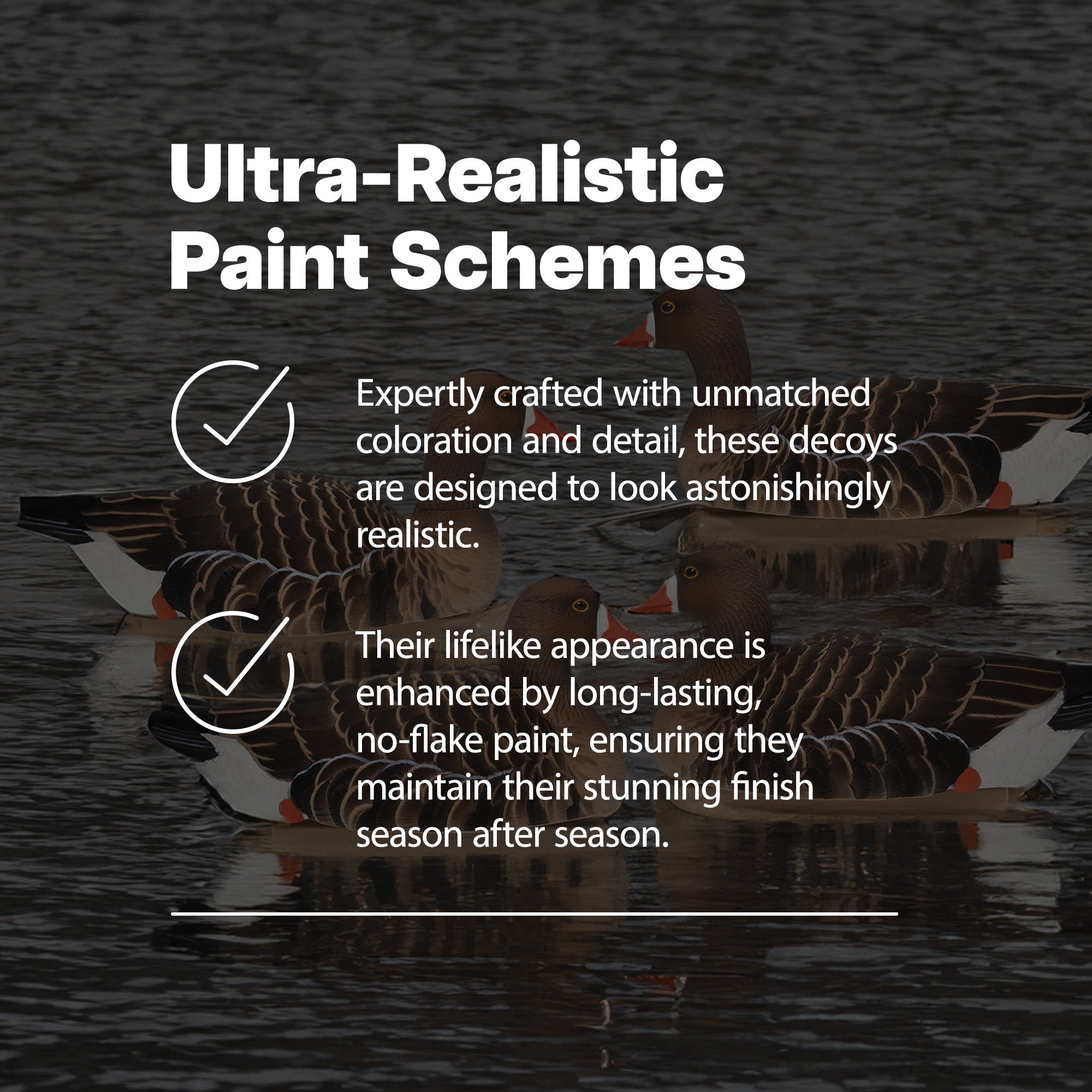 Avian X Topflight Specklebelly Goose Decoys with True to Life Postures, 12 Pack