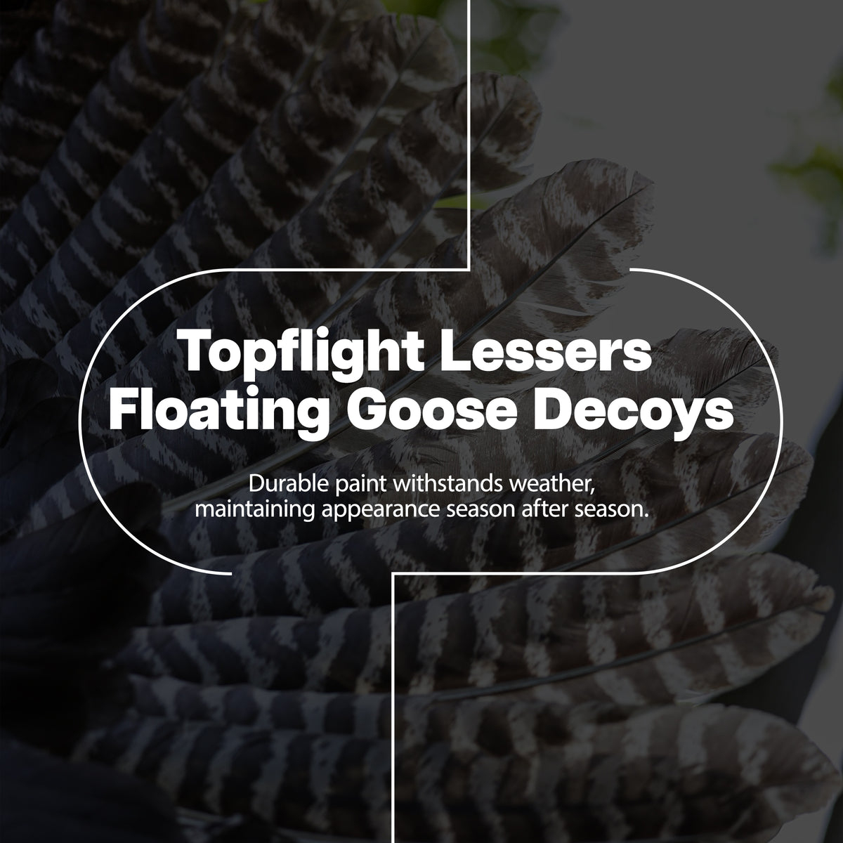 Avian X Lessers 4 Topflight Floating Hunting Decor with Lessers 6 Fusion Pack