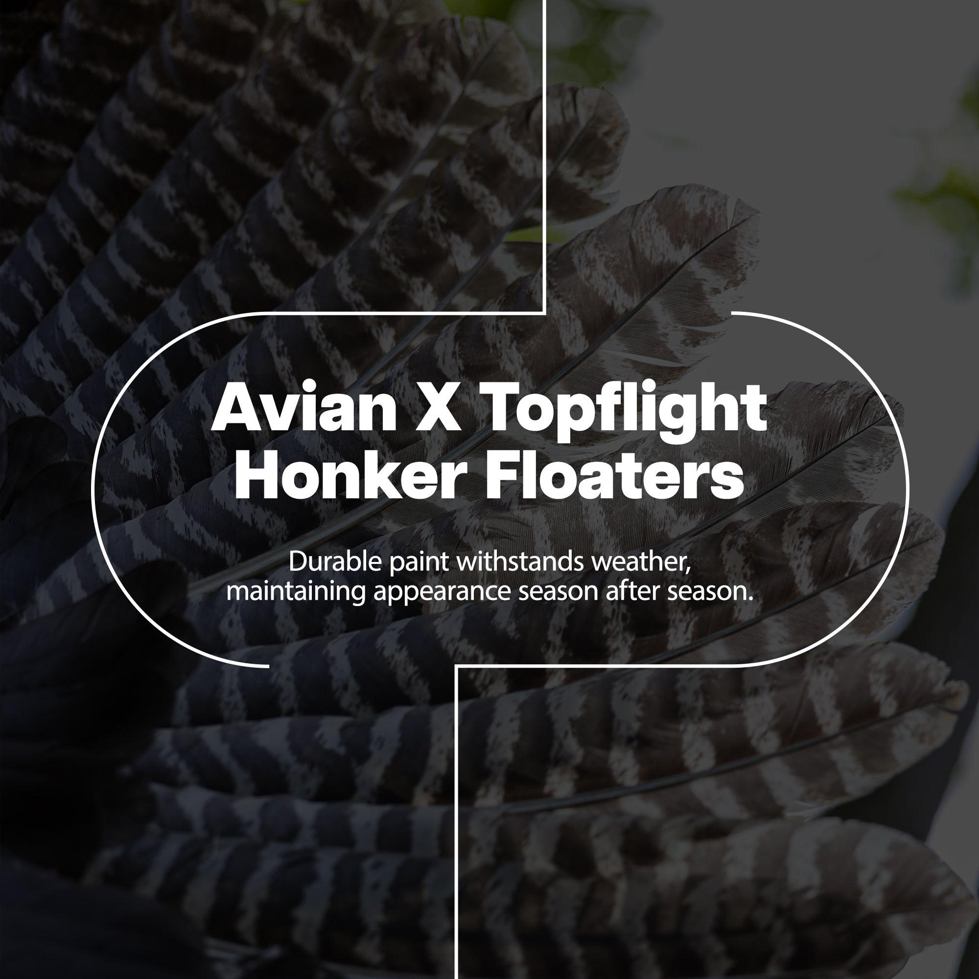 Avian X Topflight Honker Floaters with True to Life Postures for Hunting, 8 Pack