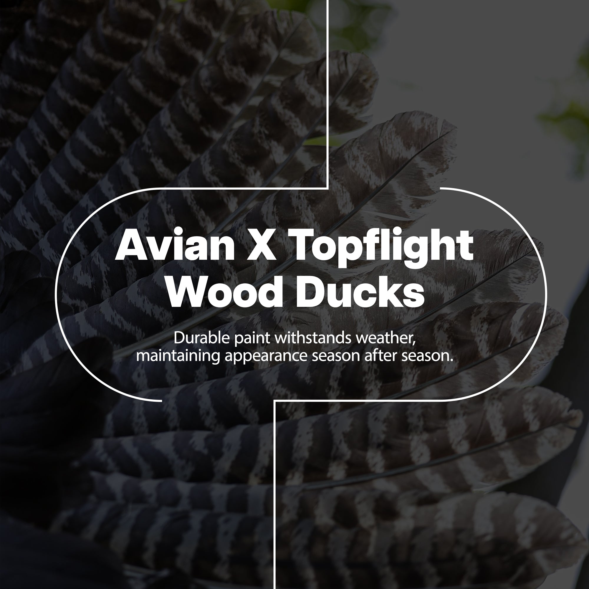 Avian X Topflight Wood Ducks, Realistic Floating Decoys, 12 Pack, Multicolor - VMInnovations