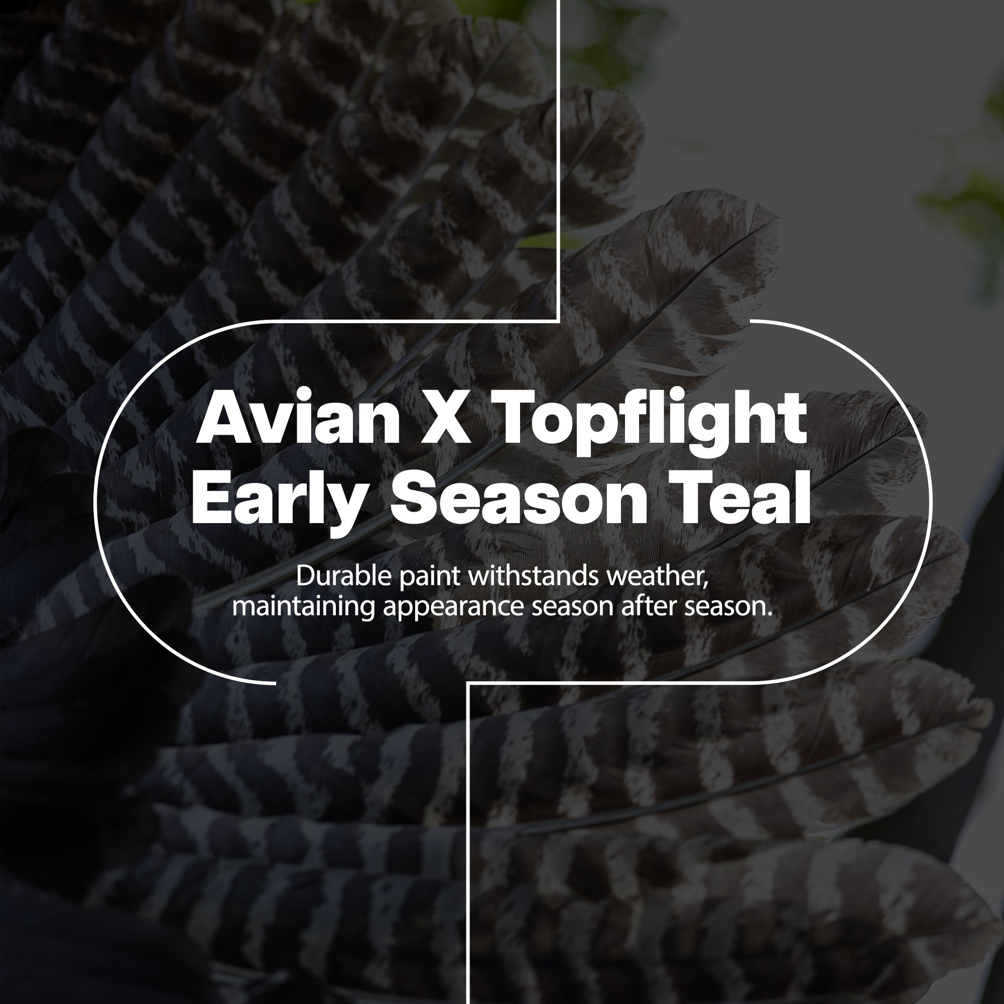 Avian X Early Season Teal w/Realistic True to Life Postures, 6pk(Open Box) - VMInnovations