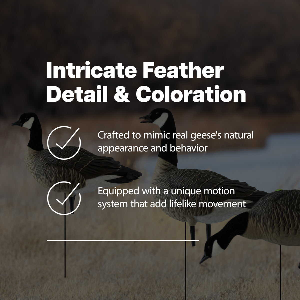 Avian X Lessers 6 Piece Fusion Realistic Goose Outdoor Hunting Decoy, 3 Pack