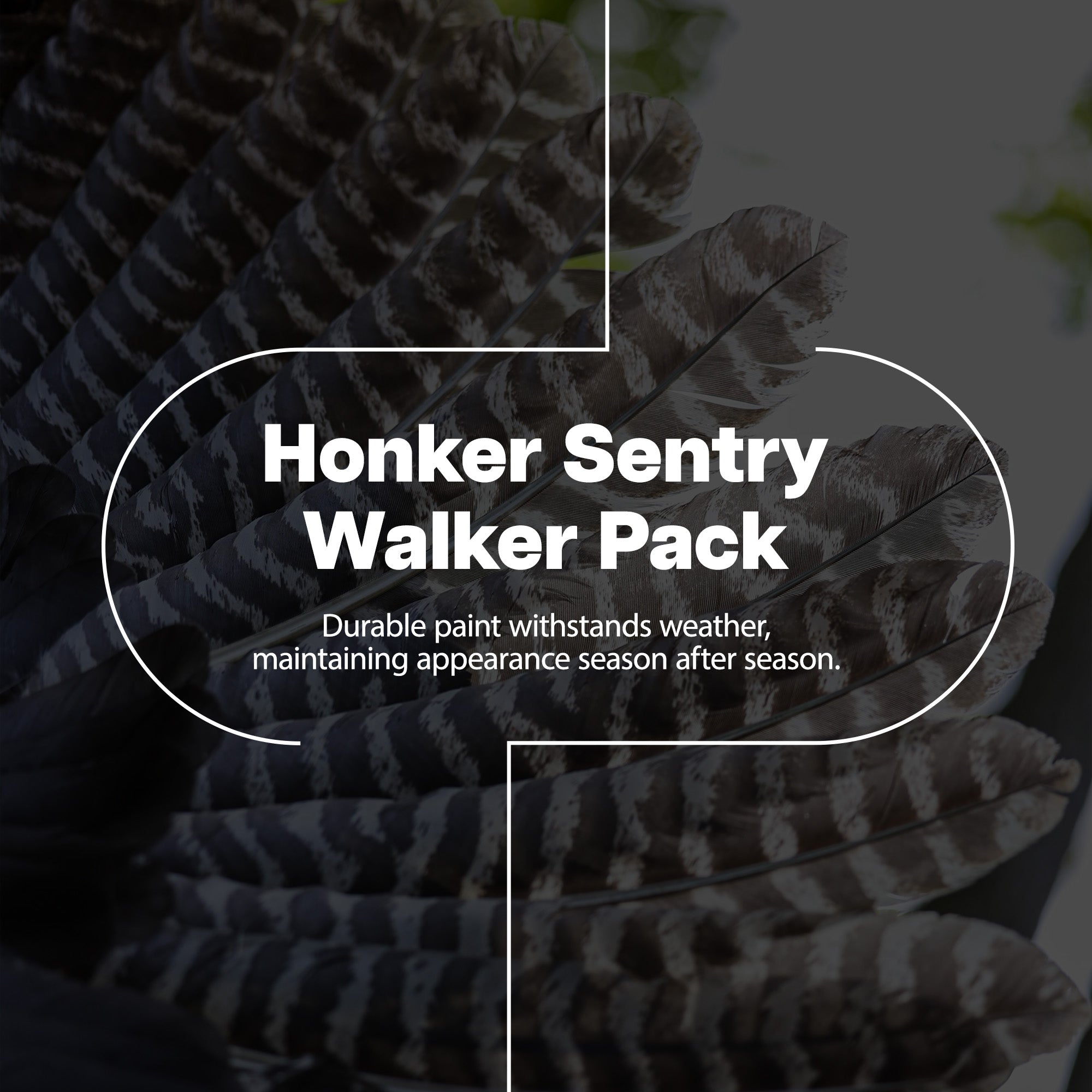 Avian X Honkers Realistic Full Body with AXP 6 Piece Honker Sentry Goose Decoys - VMInnovations