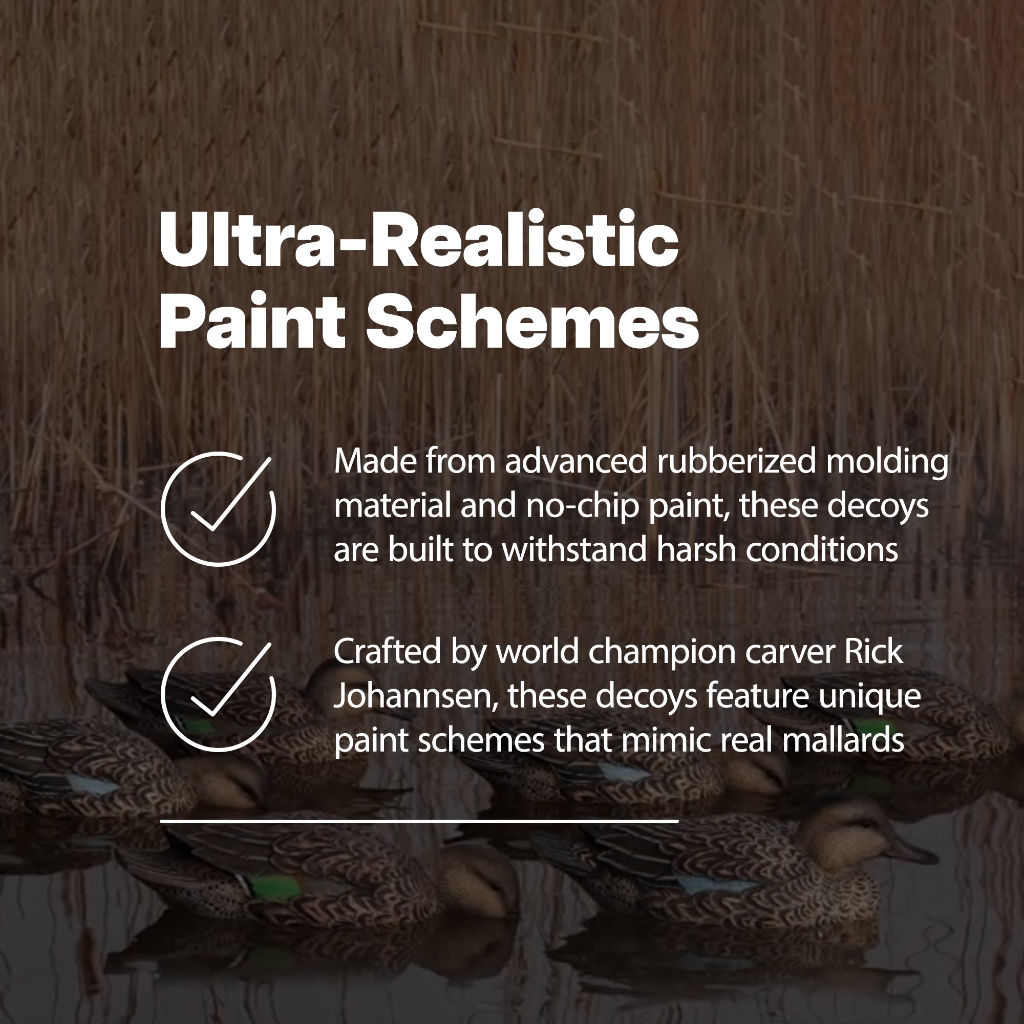 Avian X AXP Full Body Mallards Decoy, Ultra Realistic & Wind Activated, 12 Pack