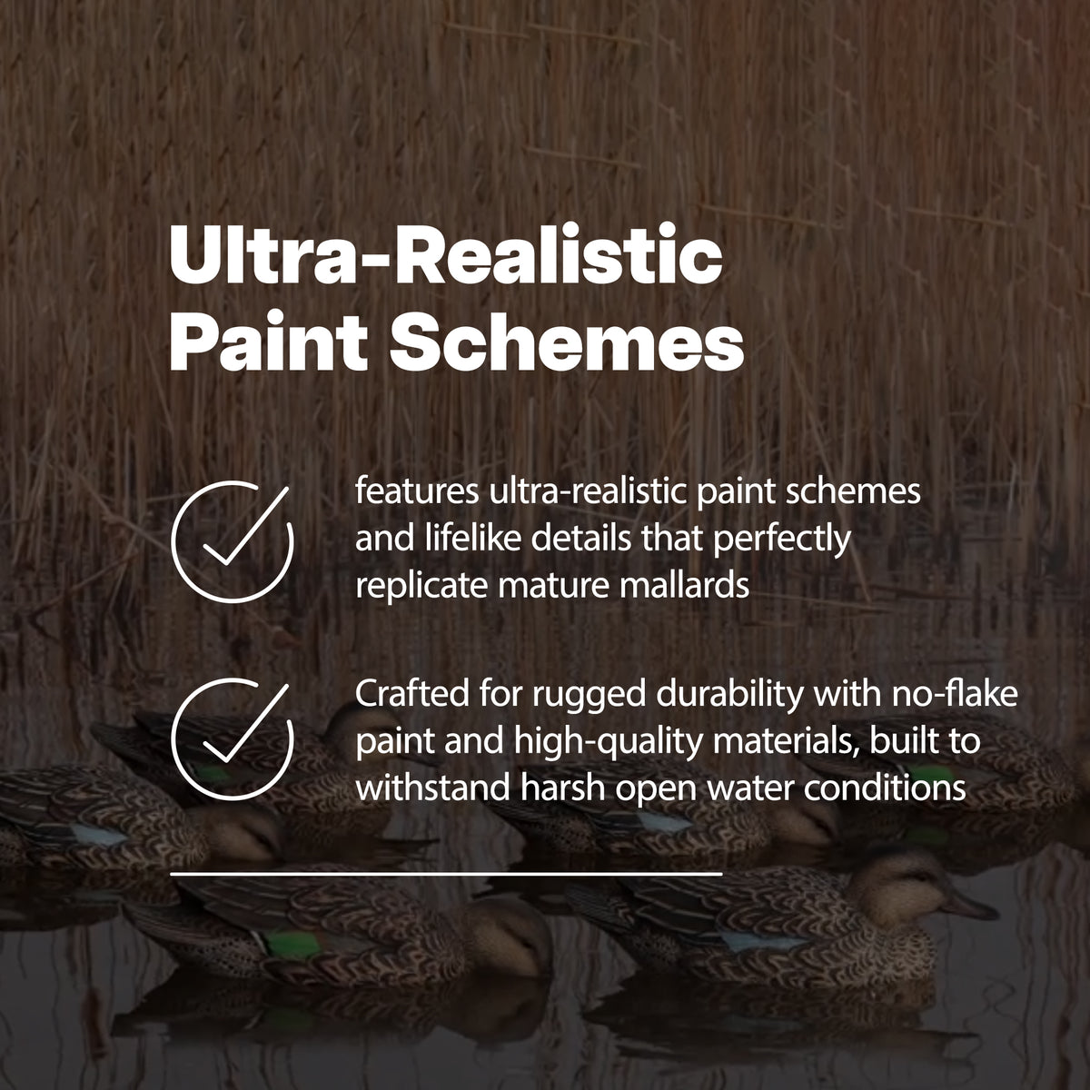 Avian X Top Flight Open Water Mallards Decoys, Ultra Realistic Floating, 12 Pack