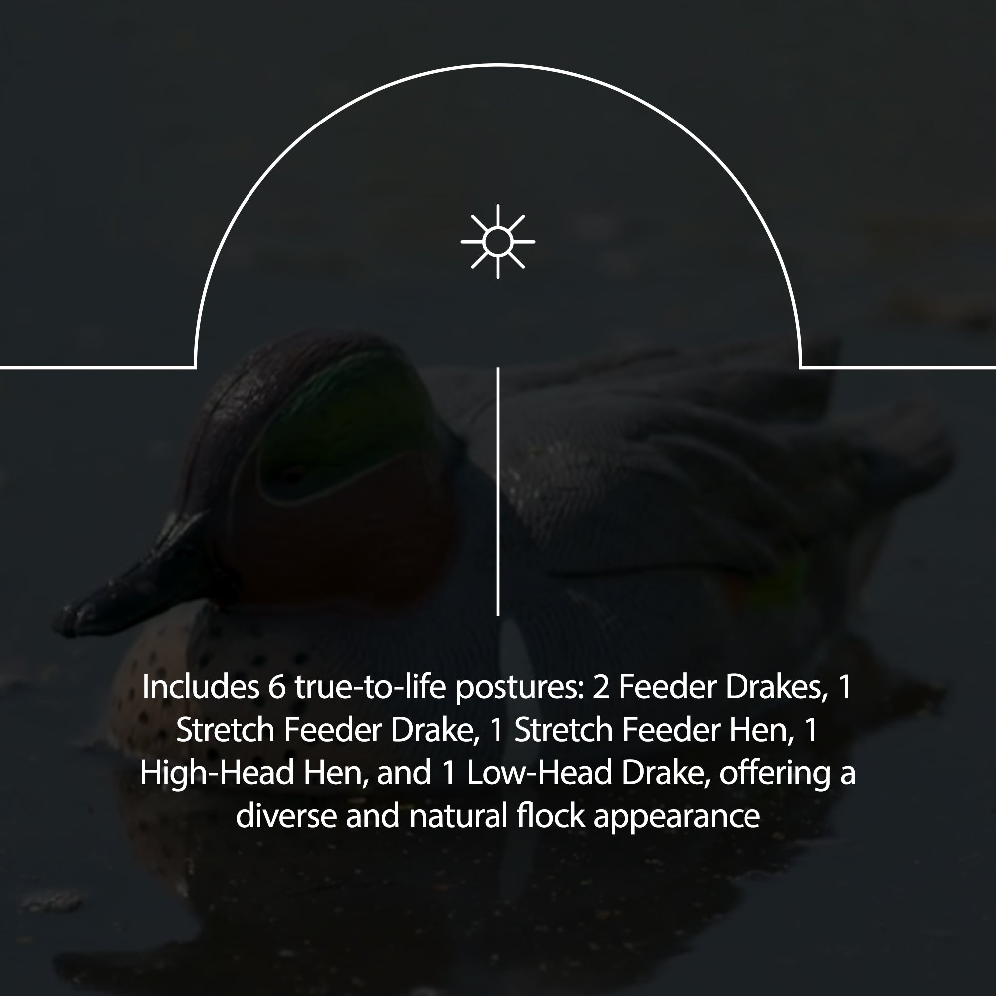 Avian X AXP Full Body Mallards Decoy, Ultra Realistic and Wind Activated, 6 Pack