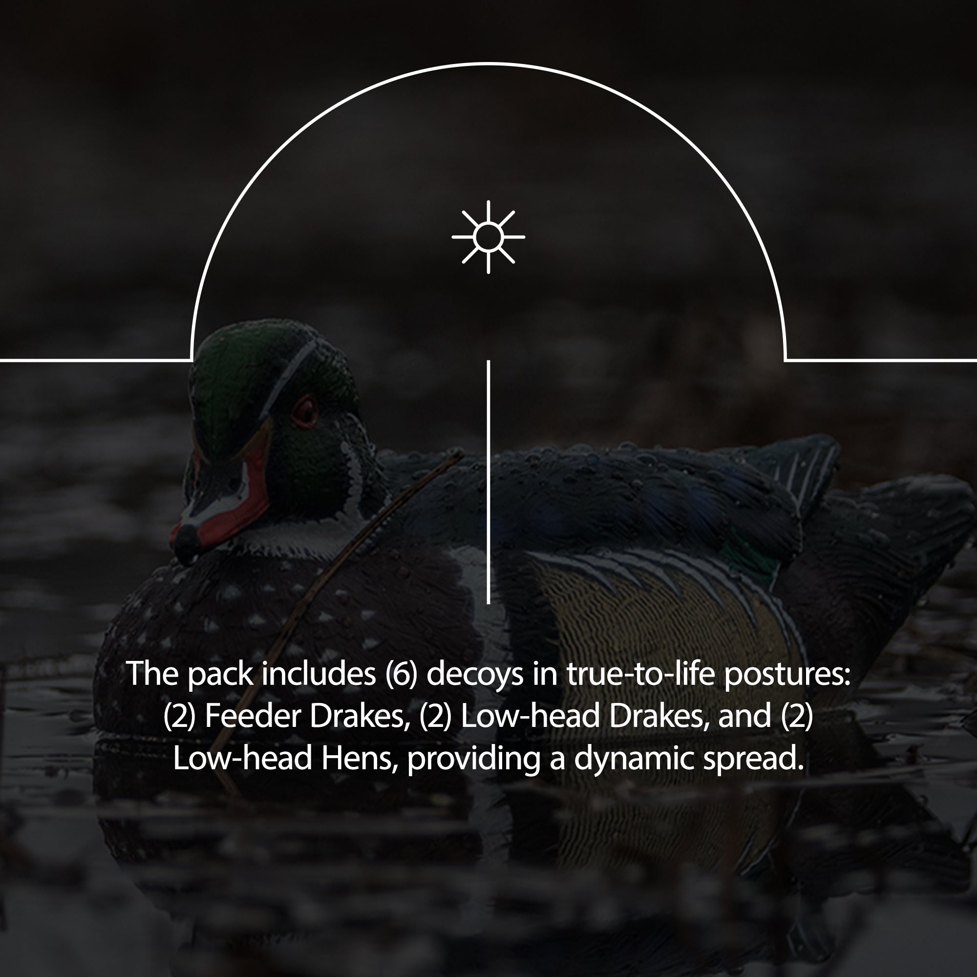 Avian X Topflight Wood Ducks, Realistic Floating Decoys, 12 Pack, Multicolor