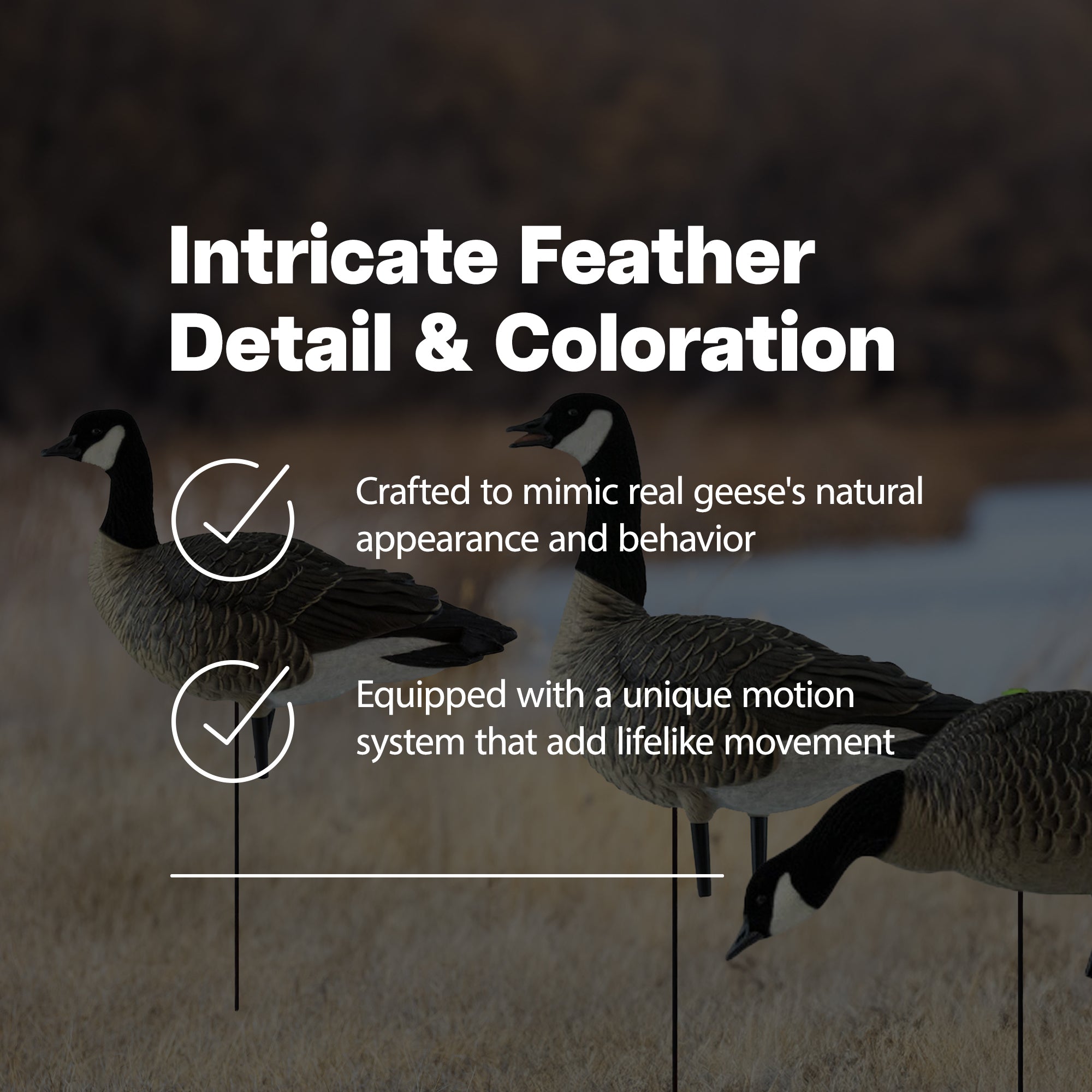 Avian X AXP Honkers Fusion Pack Goose Decoy with 6 Piece Fusion Pack for Hunting