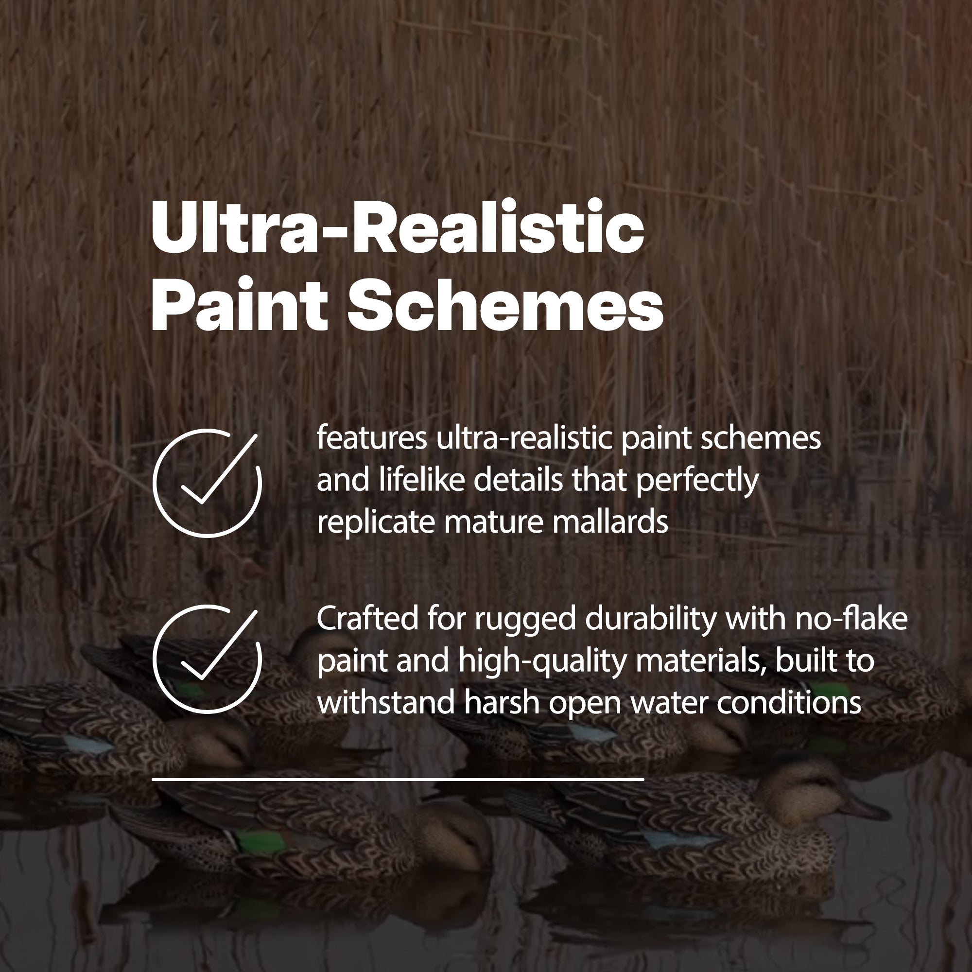Avian X Open Water Mallards Decoys, Ultra Realistic Floating, 6pk (Used) - VMInnovations