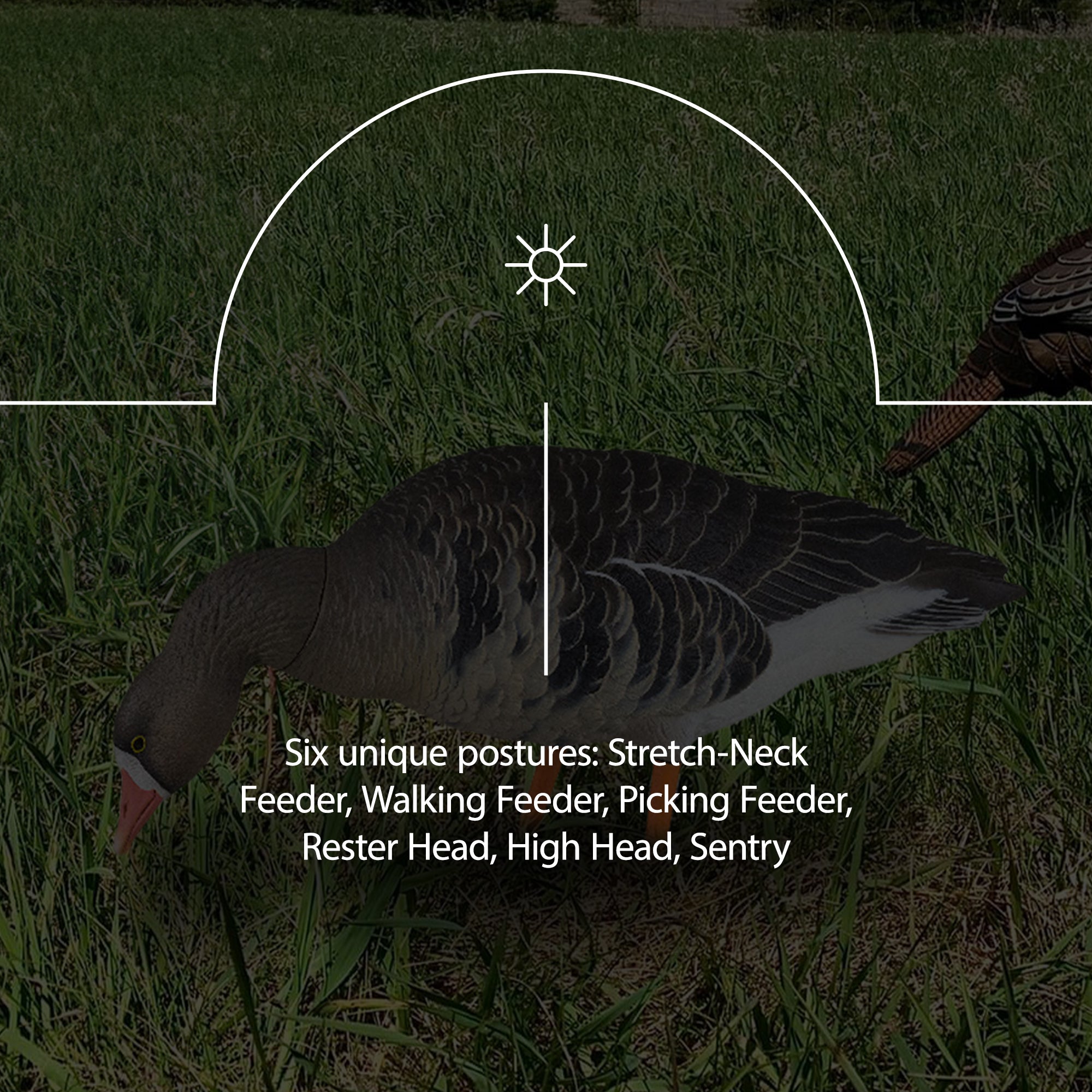 Avian X AVF Specklebelly Fusion Pack with Custom Fitted Bag for Hunting Use - VMInnovations
