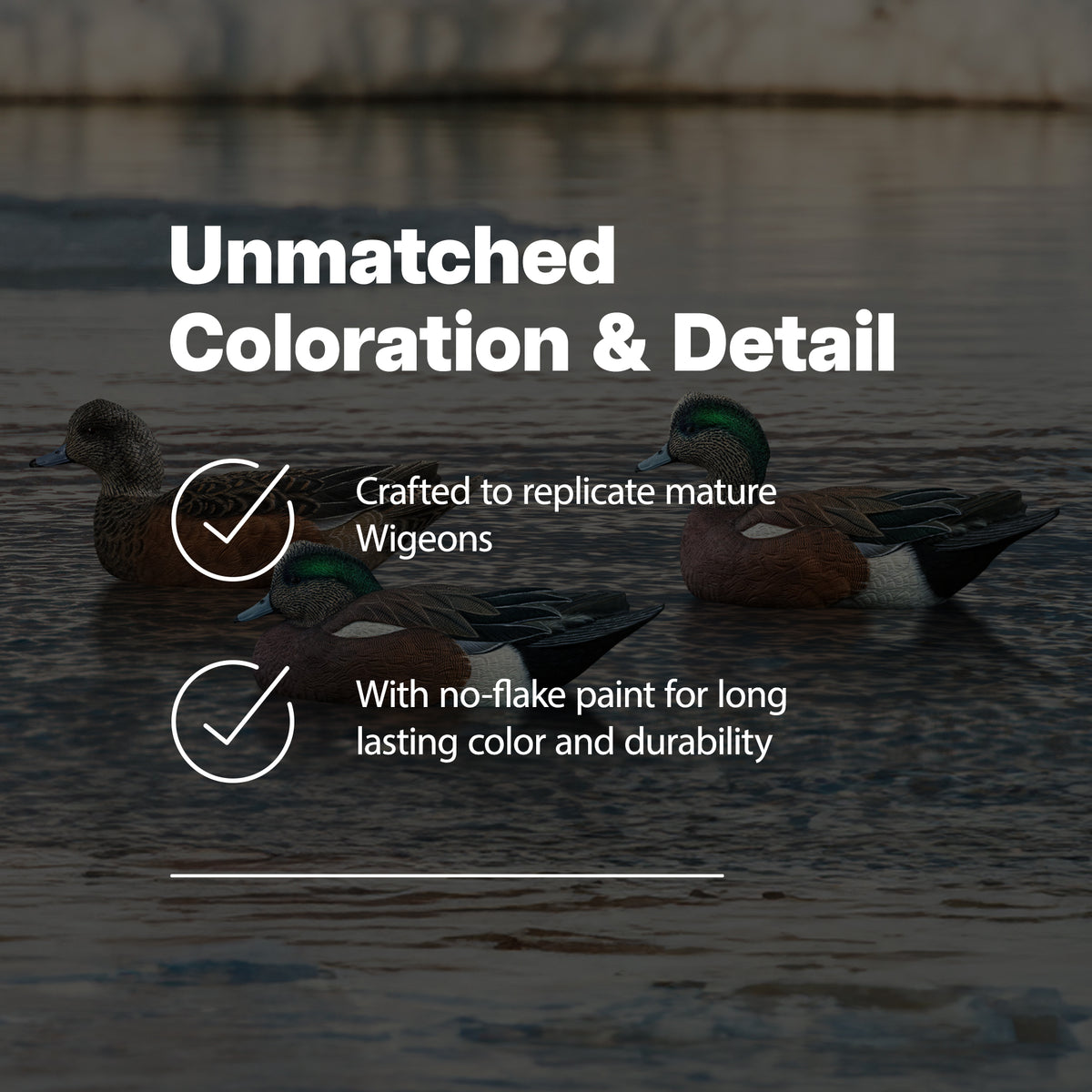 Avian X Topflight Wigeons, Rugged Realistic Floating Decoys, 6 Pack, Multicolor