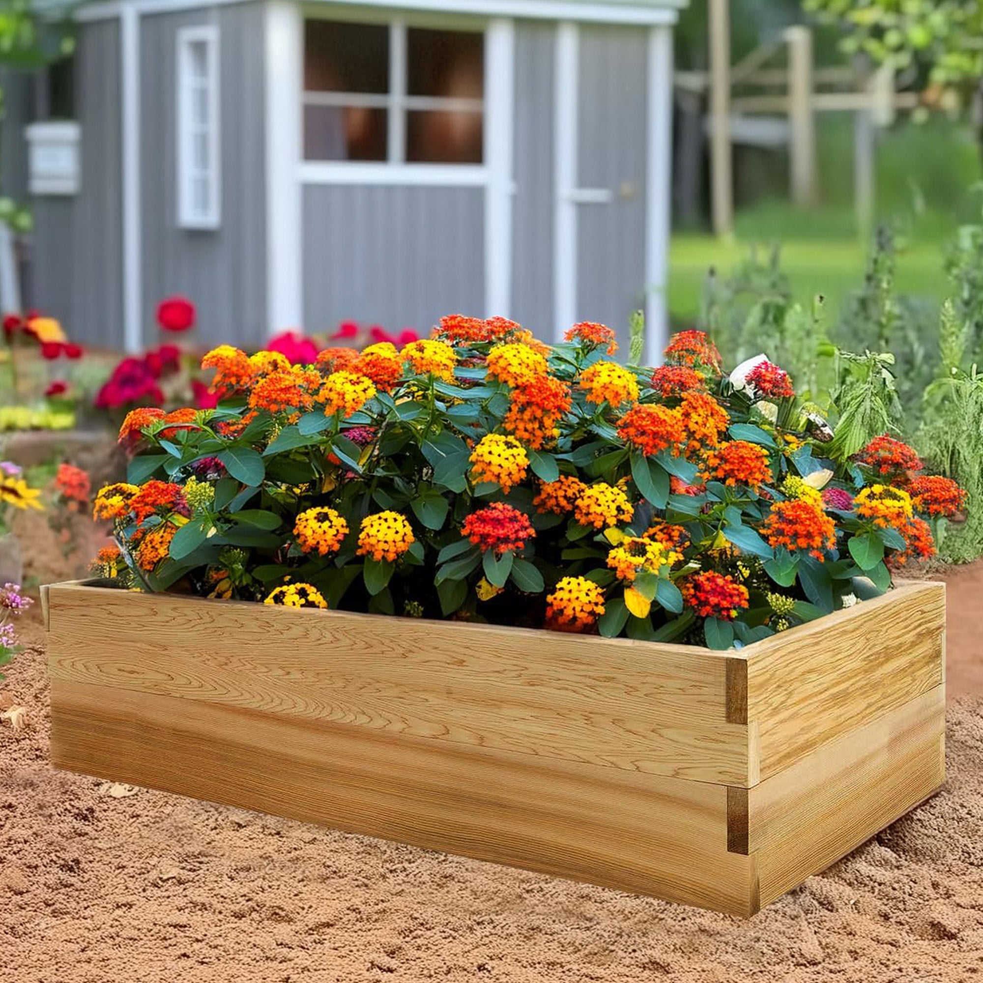 All Things Cedar 4x2'Elevated Garden Box w/Stackable&Expandable Design(Open Box) - VMInnovations