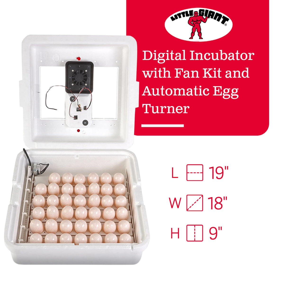 Little Giant Deluxe Digital Incubator w/Fan & Automatic Egg Turner (Open Box) - VMInnovations