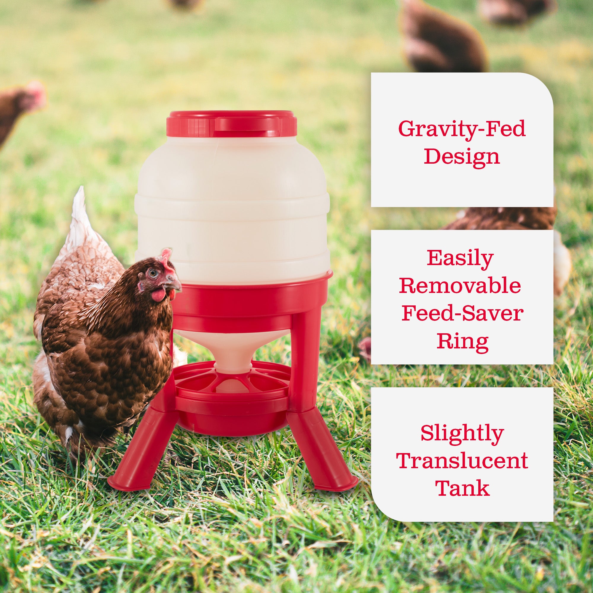Little Giant DOMEFDR45 45 Pound Feed Heavy Duty Poultry Chicken Gravity Feeder - VMInnovations