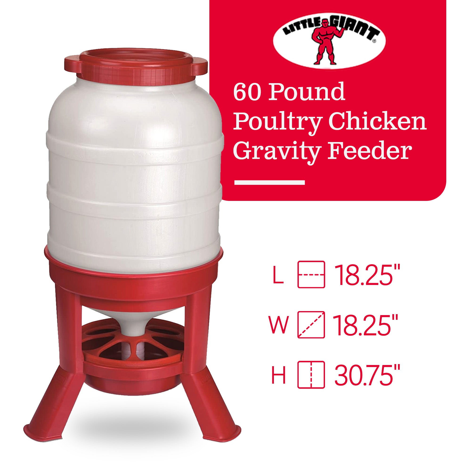 Little Giant 60 Pound Feed Heavy Duty Poultry Chicken Gravity Feeder (Open Box)