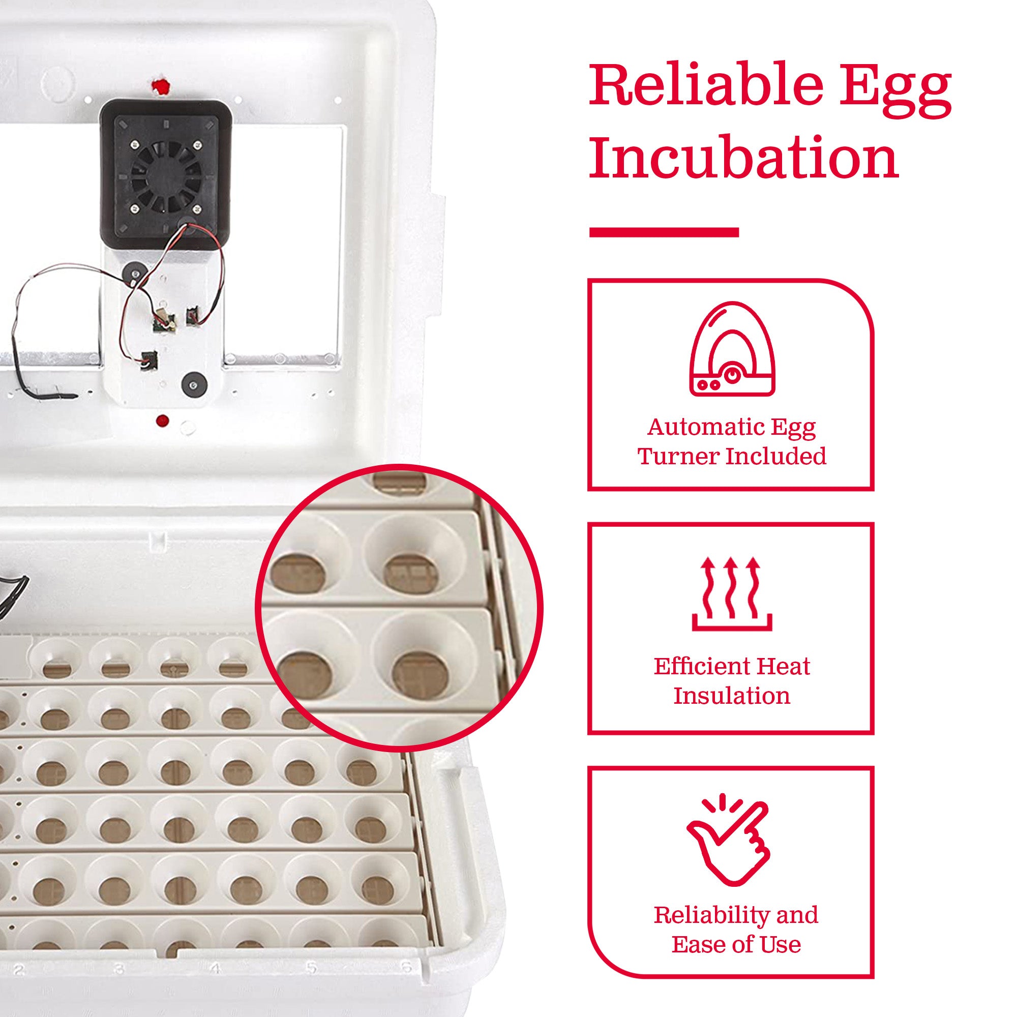 Little Giant 11300 Digital Incubator with Fan and Automatic Egg Turner(Open Box) - VMInnovations