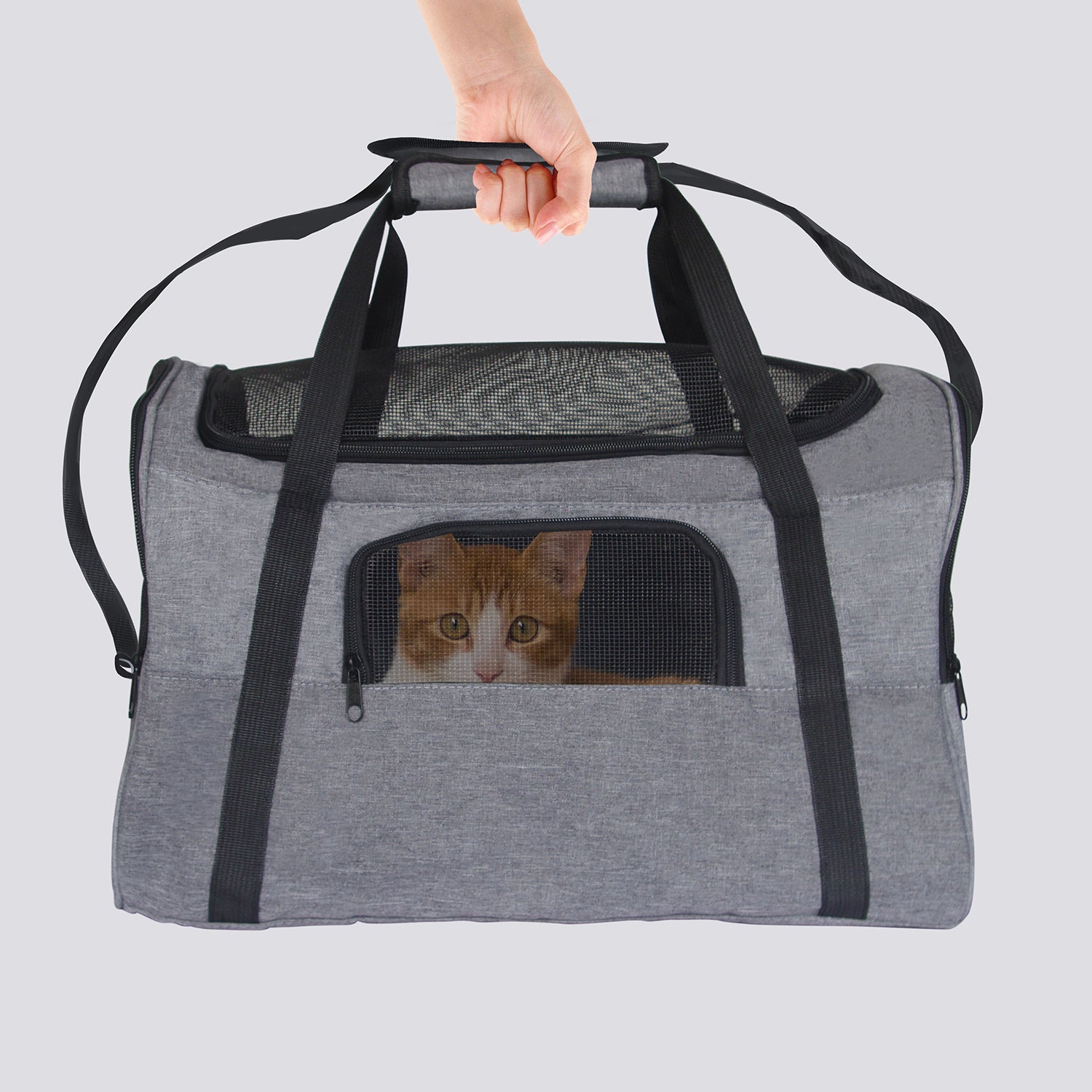ISFC Foldable Breathable Mesh Pet Travel Carrier Bag for Cats & Dogs (Open Box)