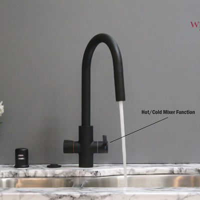 Westbrass HotMaster 4 in 1 Hot Water Dispenser Faucet w/ Instant Hot Tank, Black