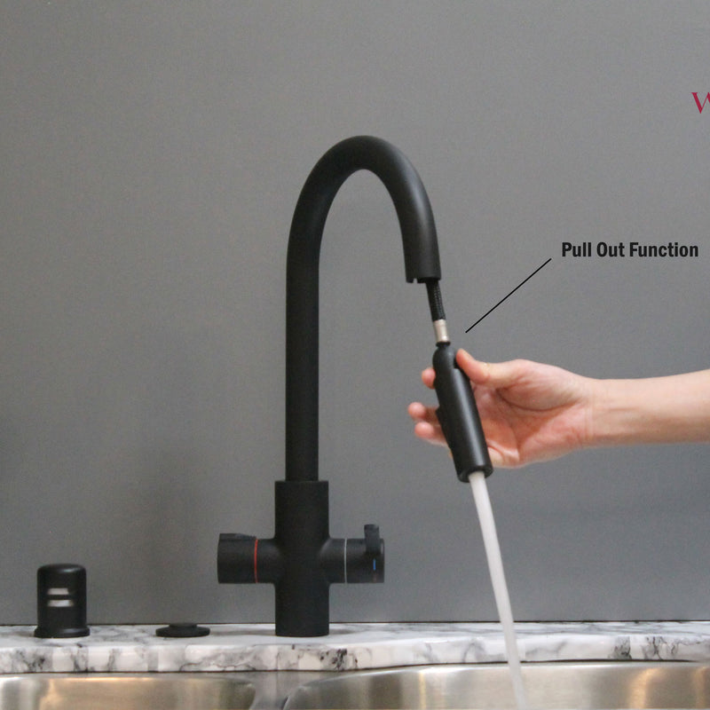 Westbrass HotMaster 4 in 1 Hot Water Dispenser Faucet w/ Instant Hot Tank, Black