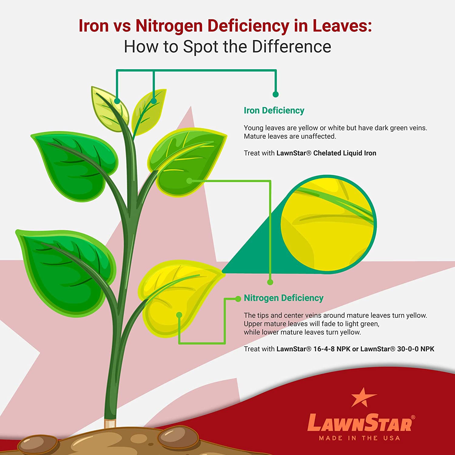 LawnStar Liquid Iron, Phosphorous Free, and Root Hume Fertilizer, 1 Gallon Each - VMInnovations