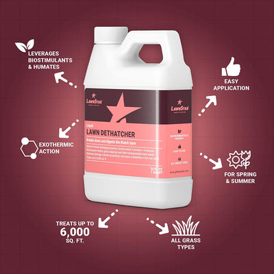 LawnStar Liquid Iron, Phosphorus Free Fertilizer, Lawn Dethatcher & Soil Aerator