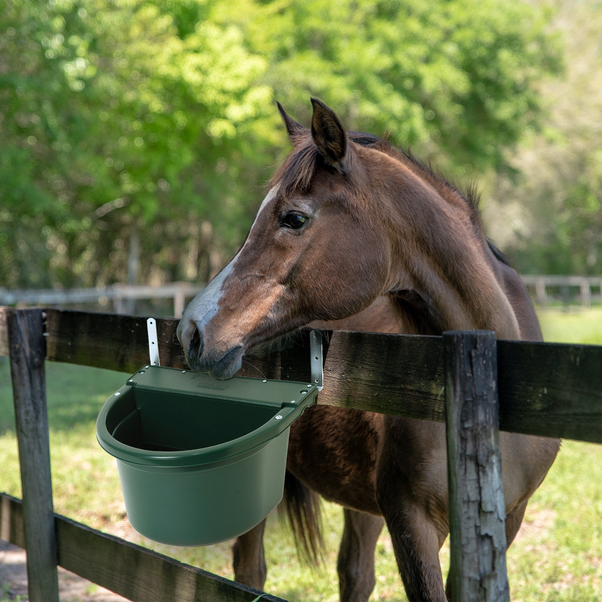 Little Giant 4 Gallon DuraMate Automatic Waterer w/ Metal Brackets, Green (Used) - VMInnovations