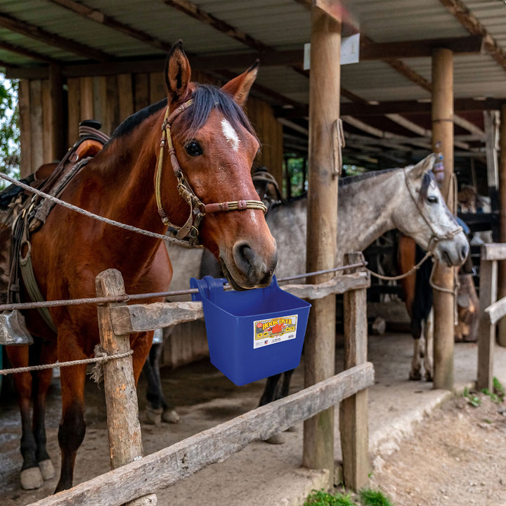 Little Giant 15 Quart Mountable Livestock & Pet Hook Over Bucket Feeder, Blue - VMInnovations