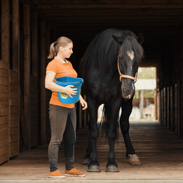 Little Giant Heavy Duty 22 Quart Flat Back Plastic Bucket w/ Metal Handle, Teal - VMInnovations