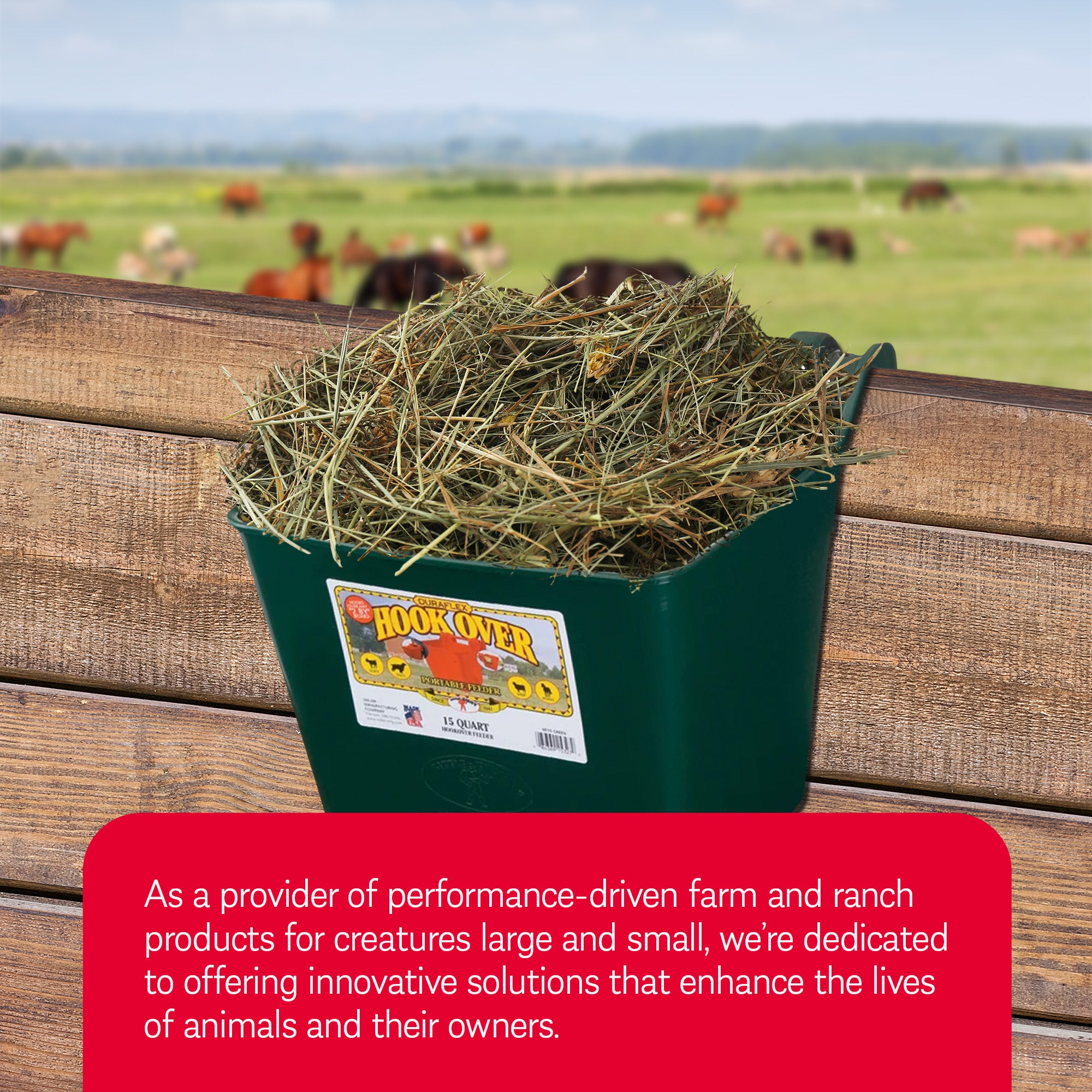 Little Giant Heavy Duty 15 Quart Mountable Plastic Hook Feeder, Green (Open Box) - VMInnovations