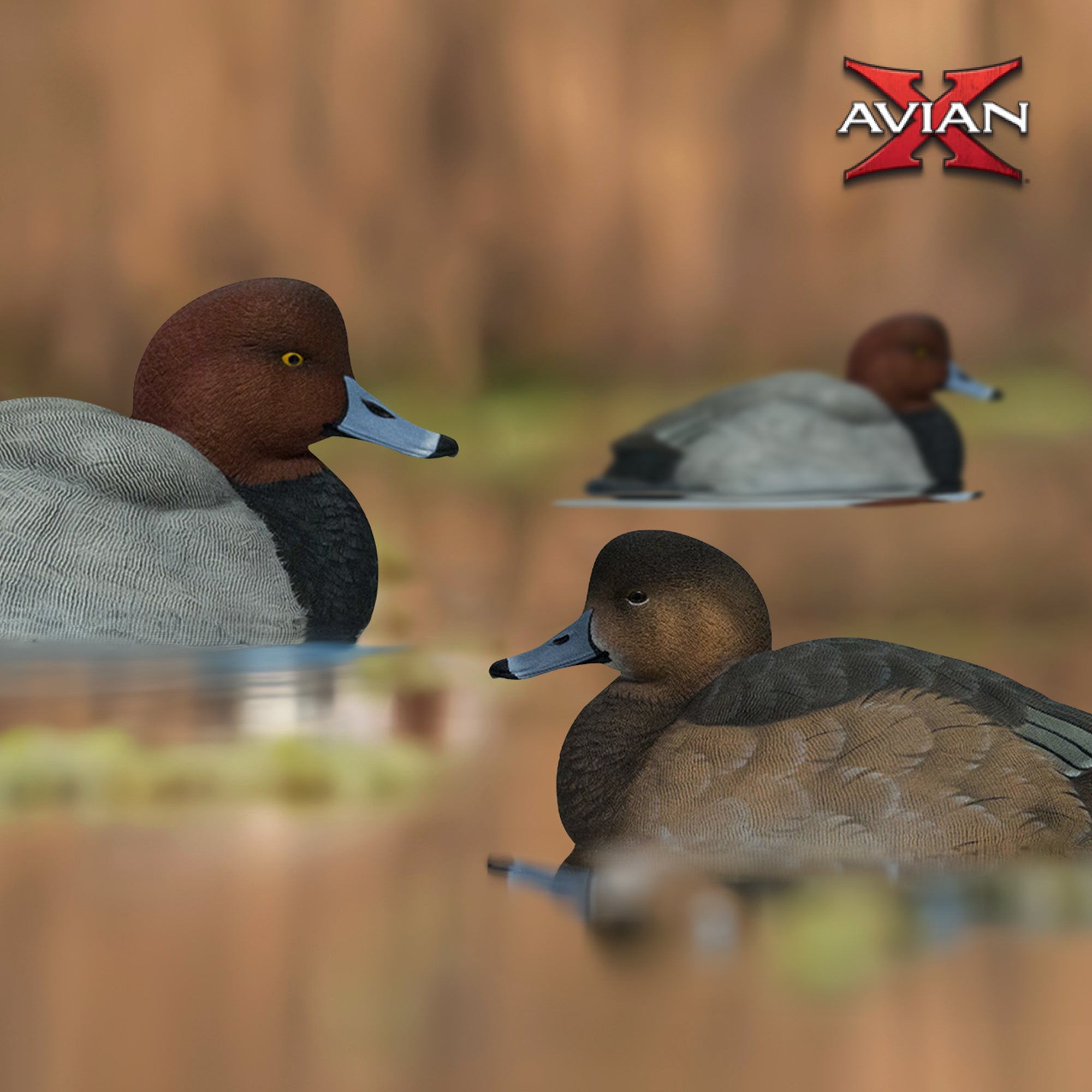 Avian X Redheads Realistic Decoys w/Weight Forward Swim Keel, Set of 6(Open Box) - VMInnovations