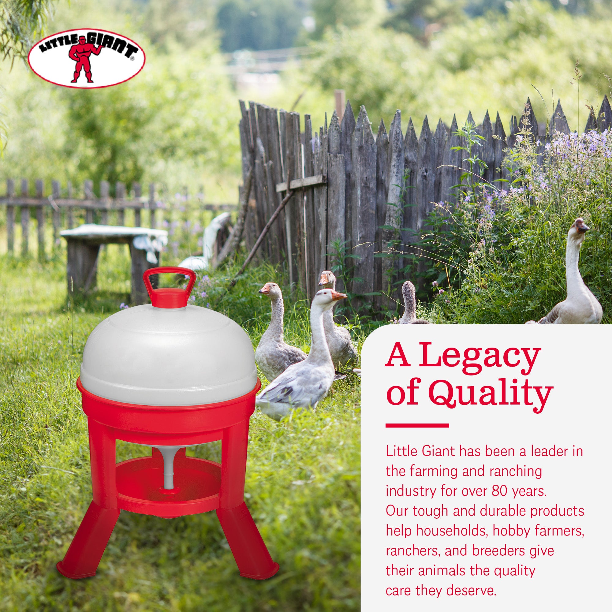 Little Giant DOMEWTR5 5 Gallon Tank Heavy Duty Poultry Chicken Gravity Waterer - VMInnovations