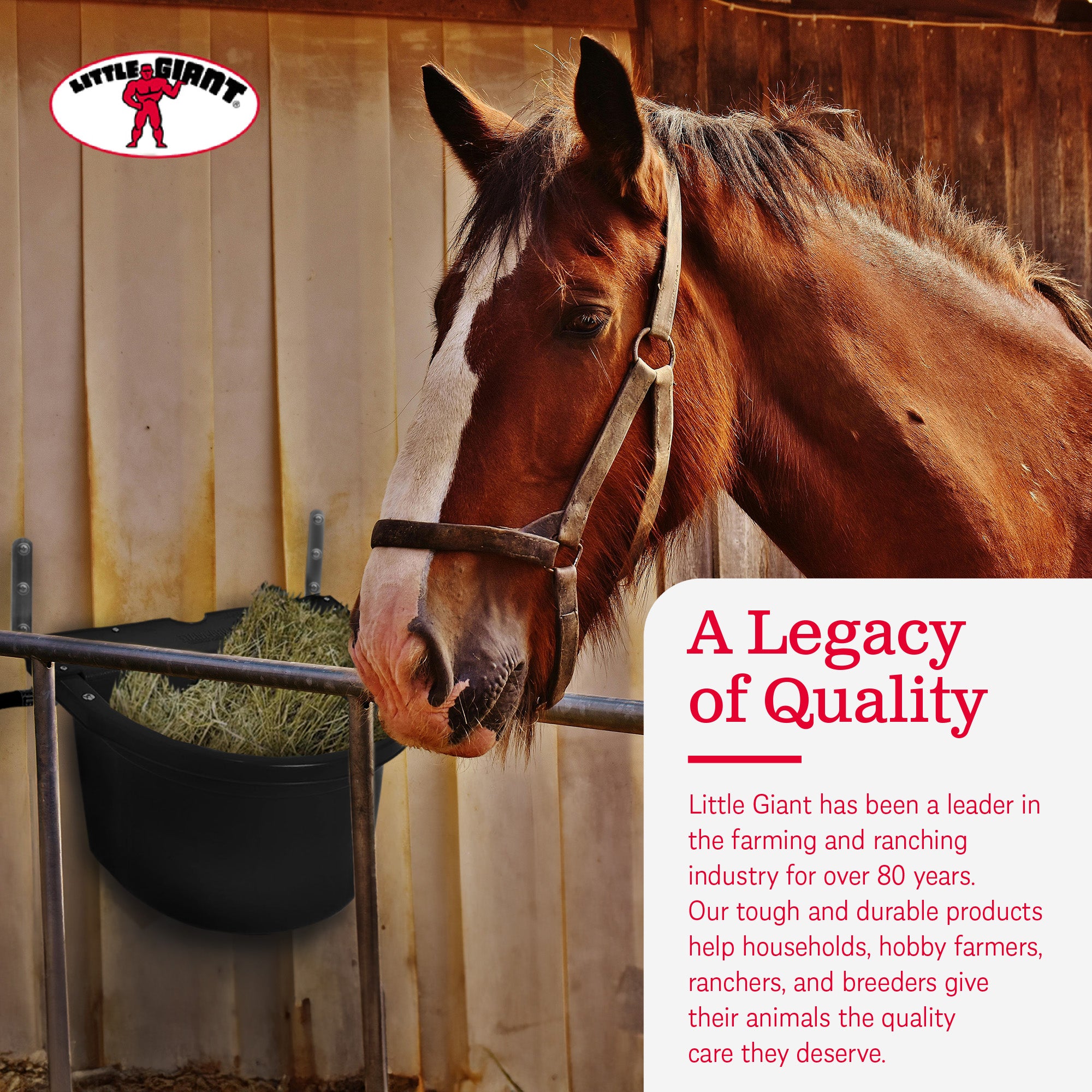 Little Giant 20 Quart Heavy Duty Mountable Fence Feeder Bucket, Black (Open Box) - VMInnovations
